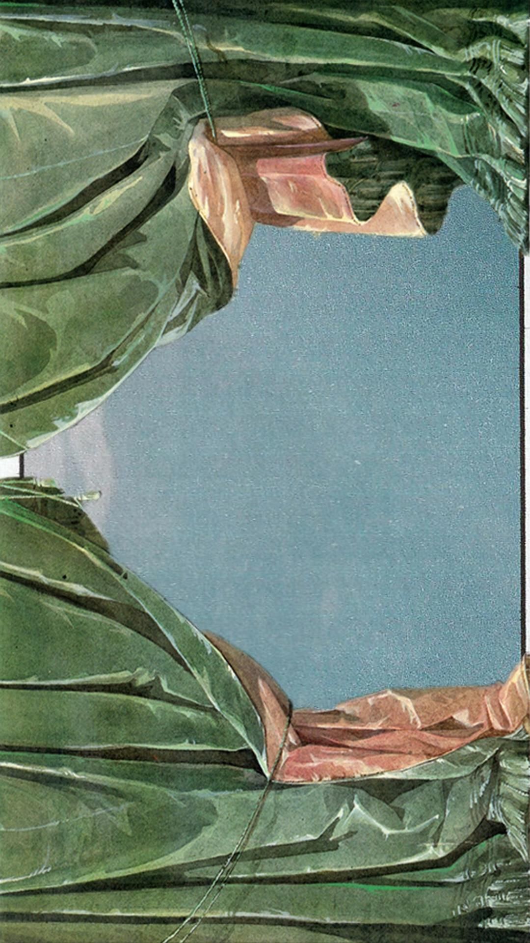 Wallpapers