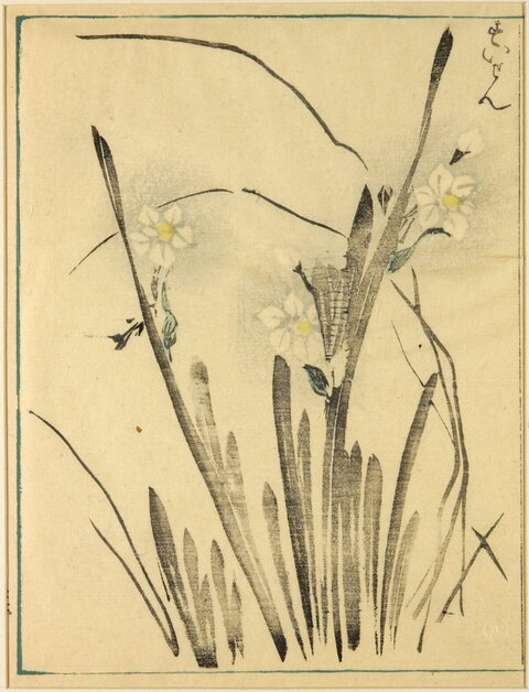 Traditional Japanese Narcissus Woodblock Print