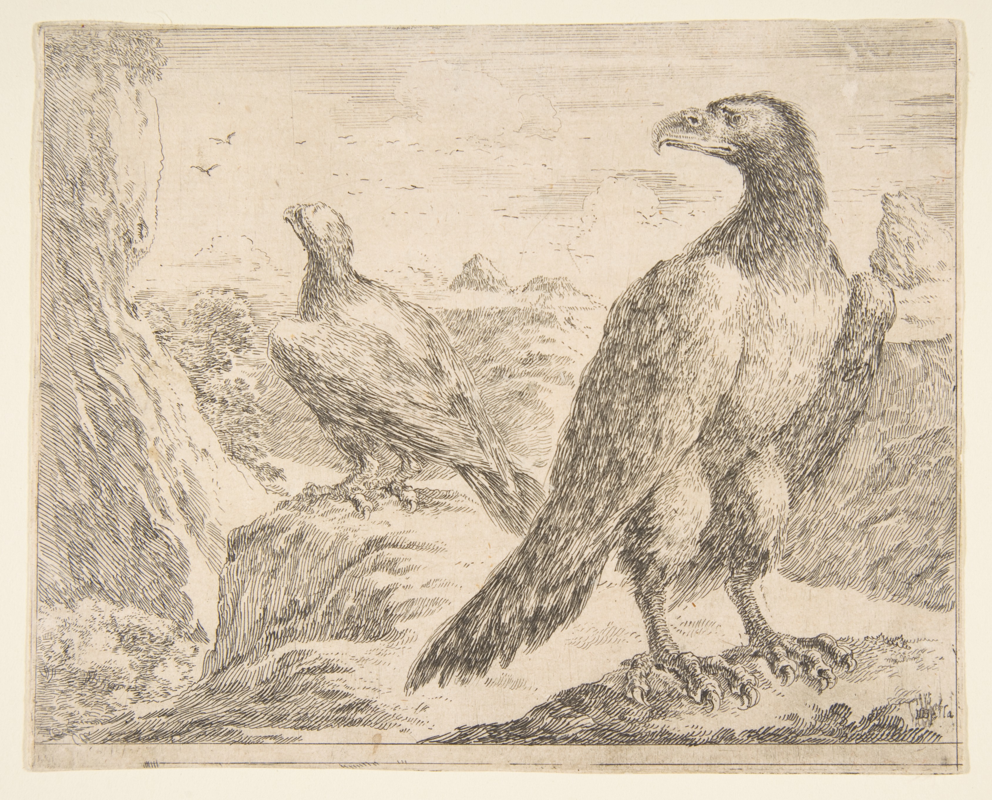 Two Eagles on a Mountain Cliff