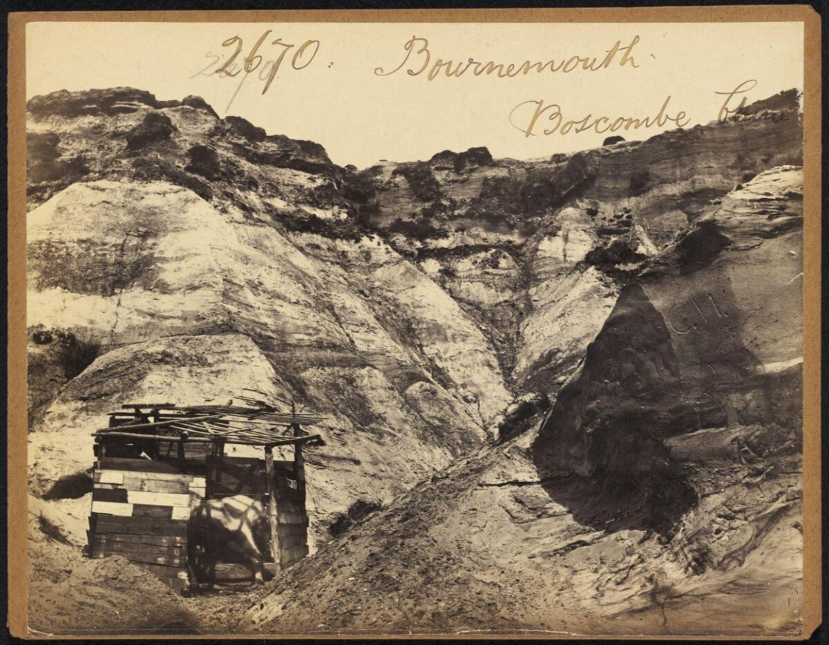 Vintage View of Boscombe Cliffs Bournemouth