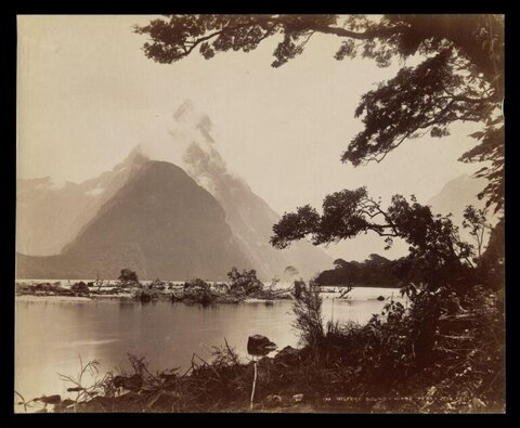 Vintage Mitre Peak Milford Sound Landscape