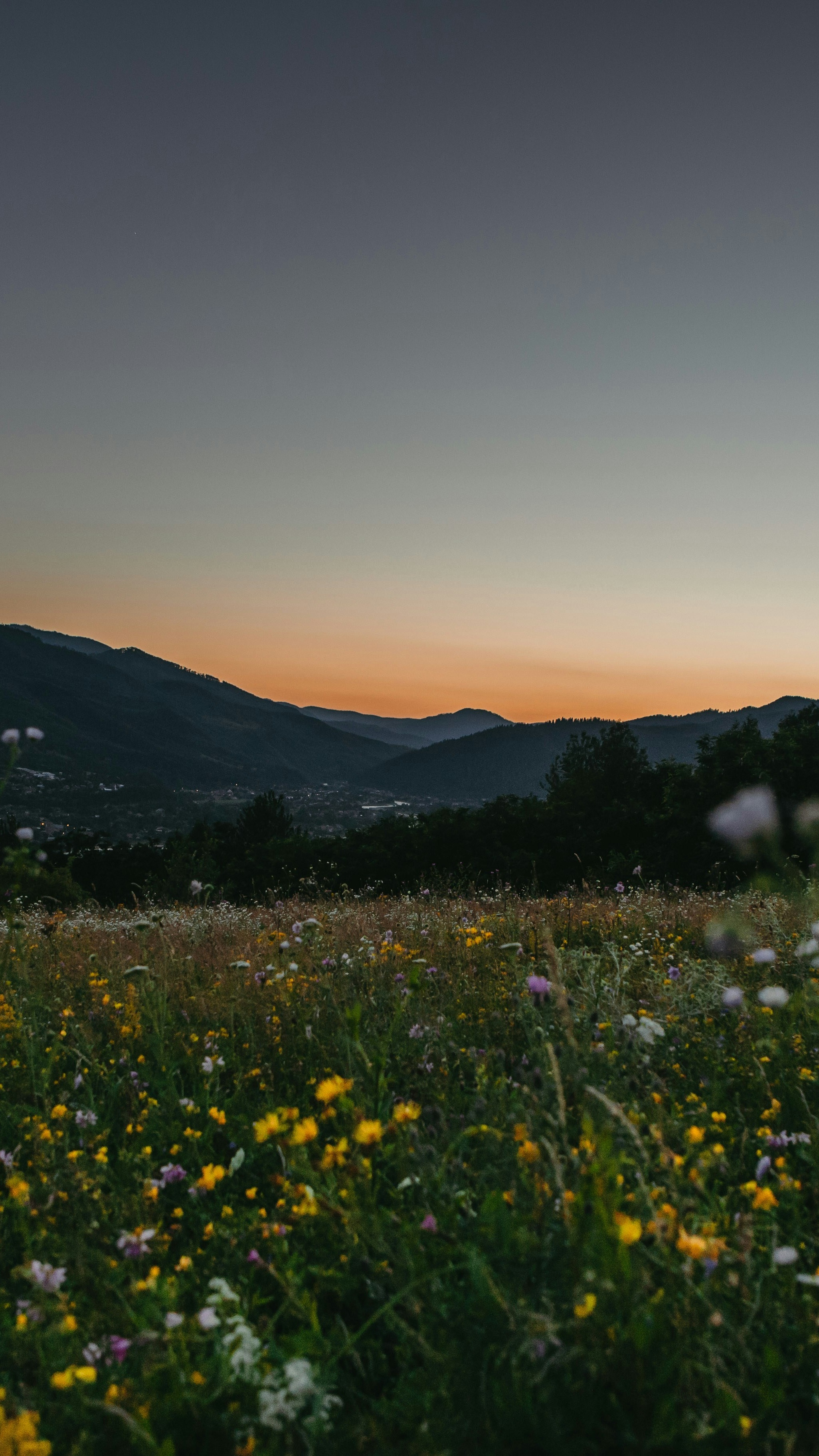 Landscapes