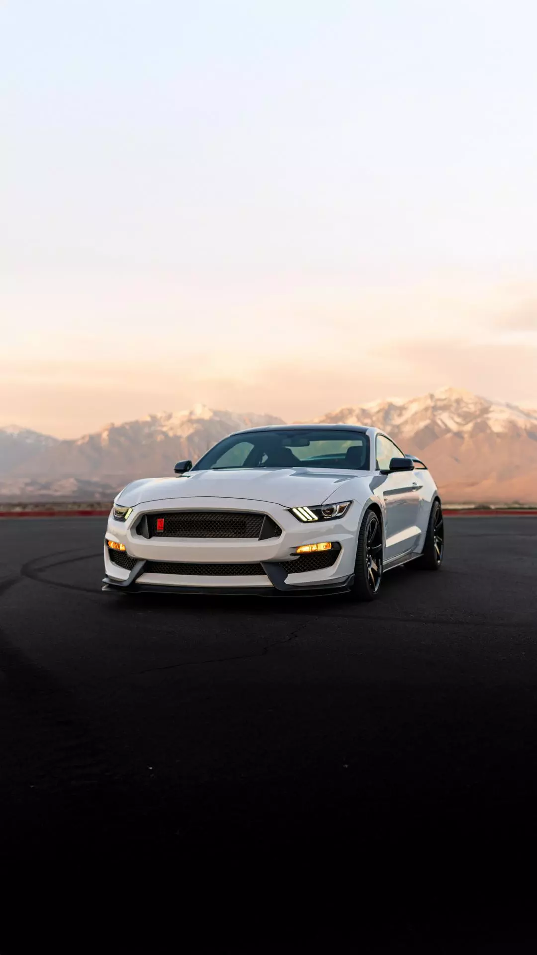 Image 159112 — Cars