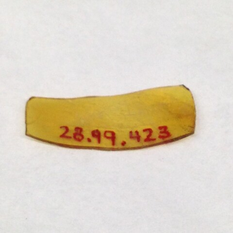 Curved Yellow Fragment with Red Catalog Number