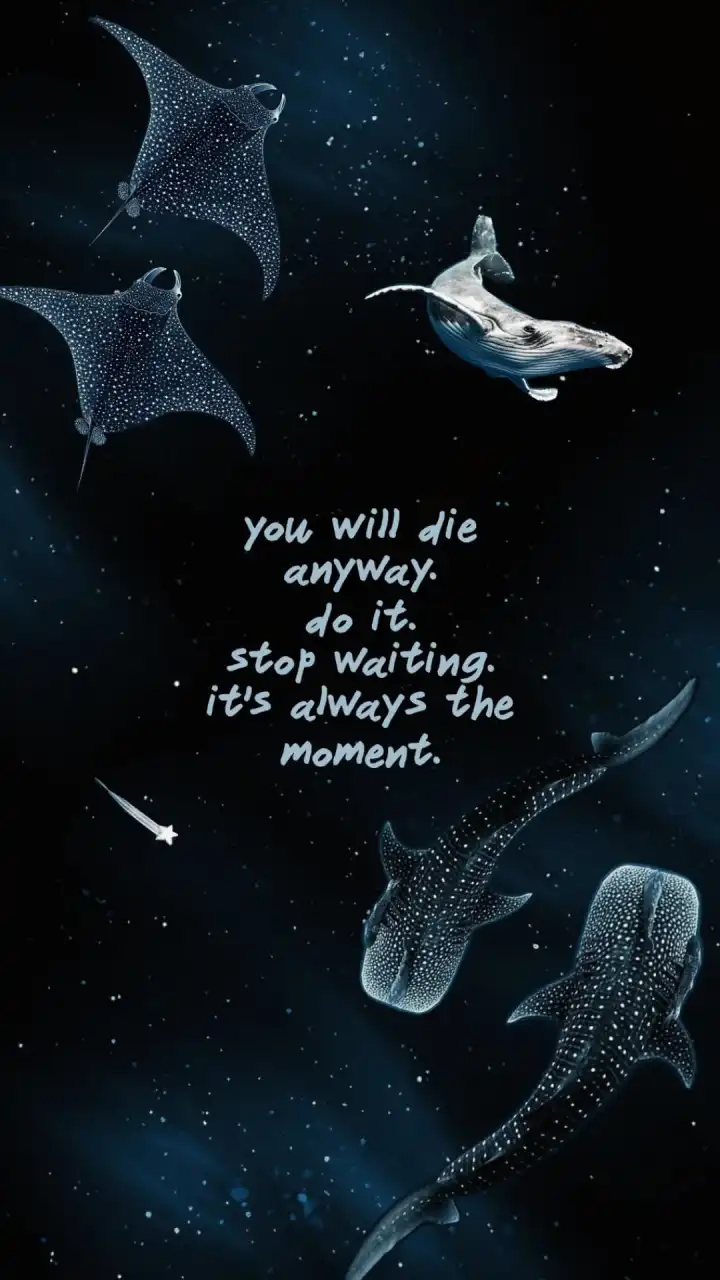 Wallpapers
