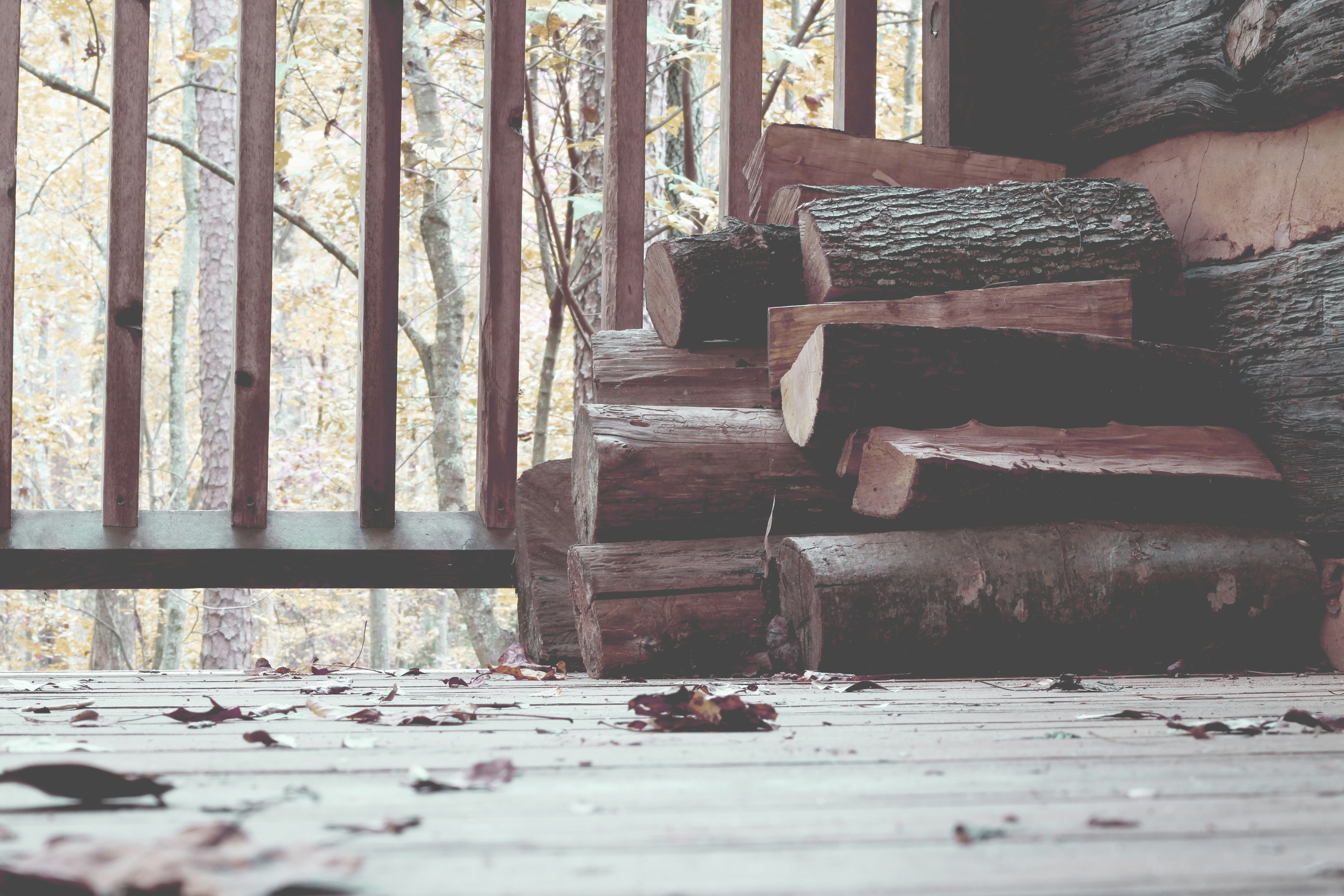 Stacked Firewood on Cabin Porch in Autumn