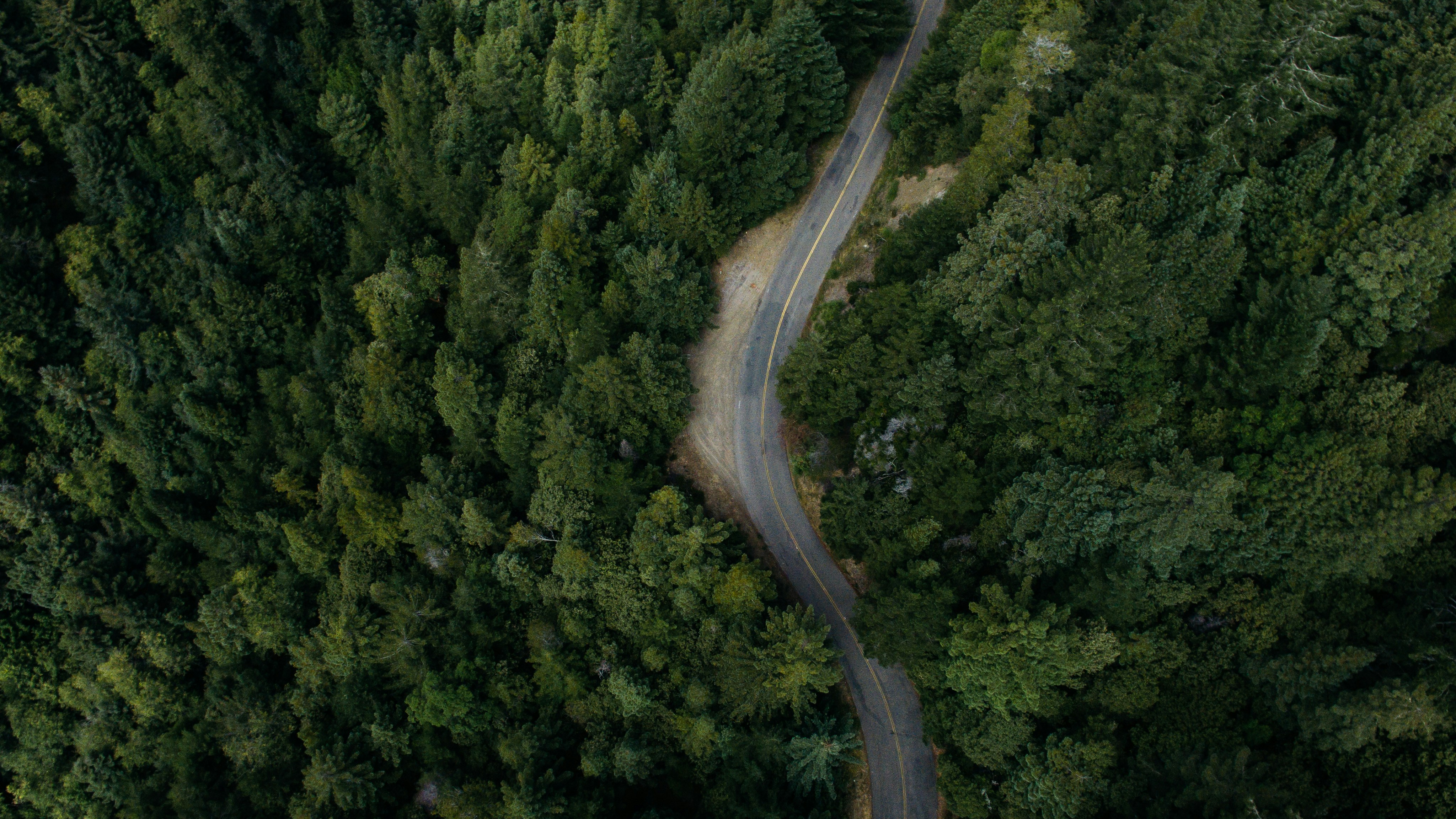 Aerial View of Road Through Dense Forest