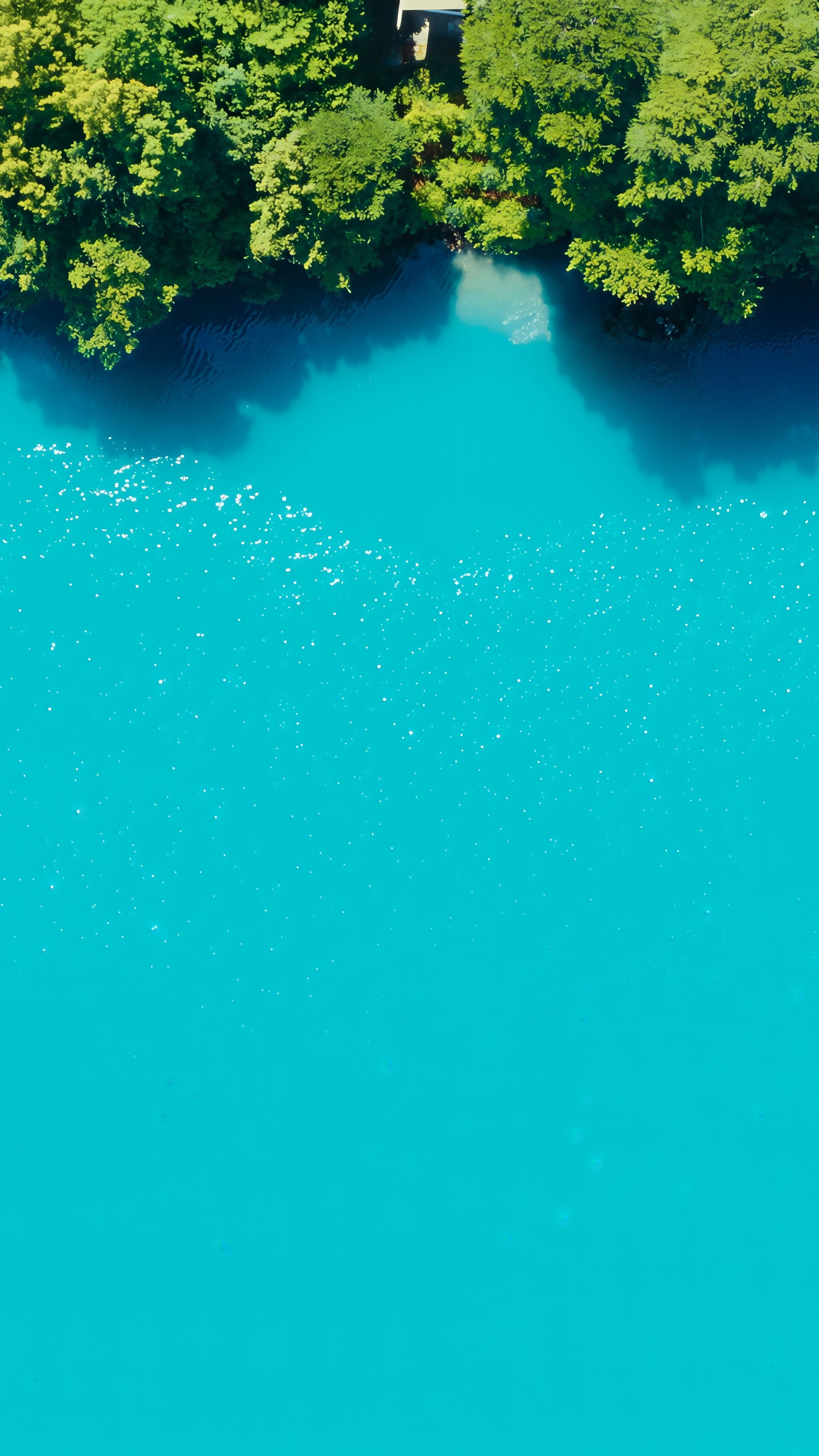 Wallpapers