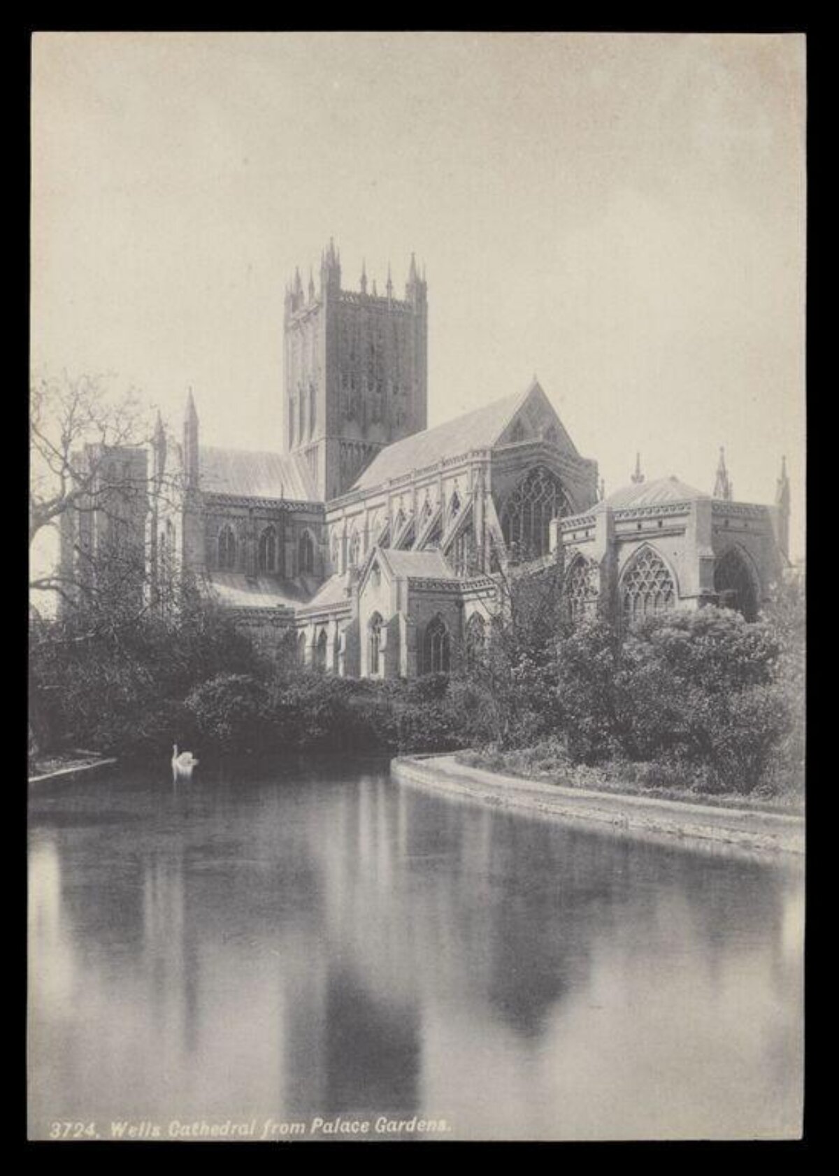 Wells Cathedral from Palace Gardens