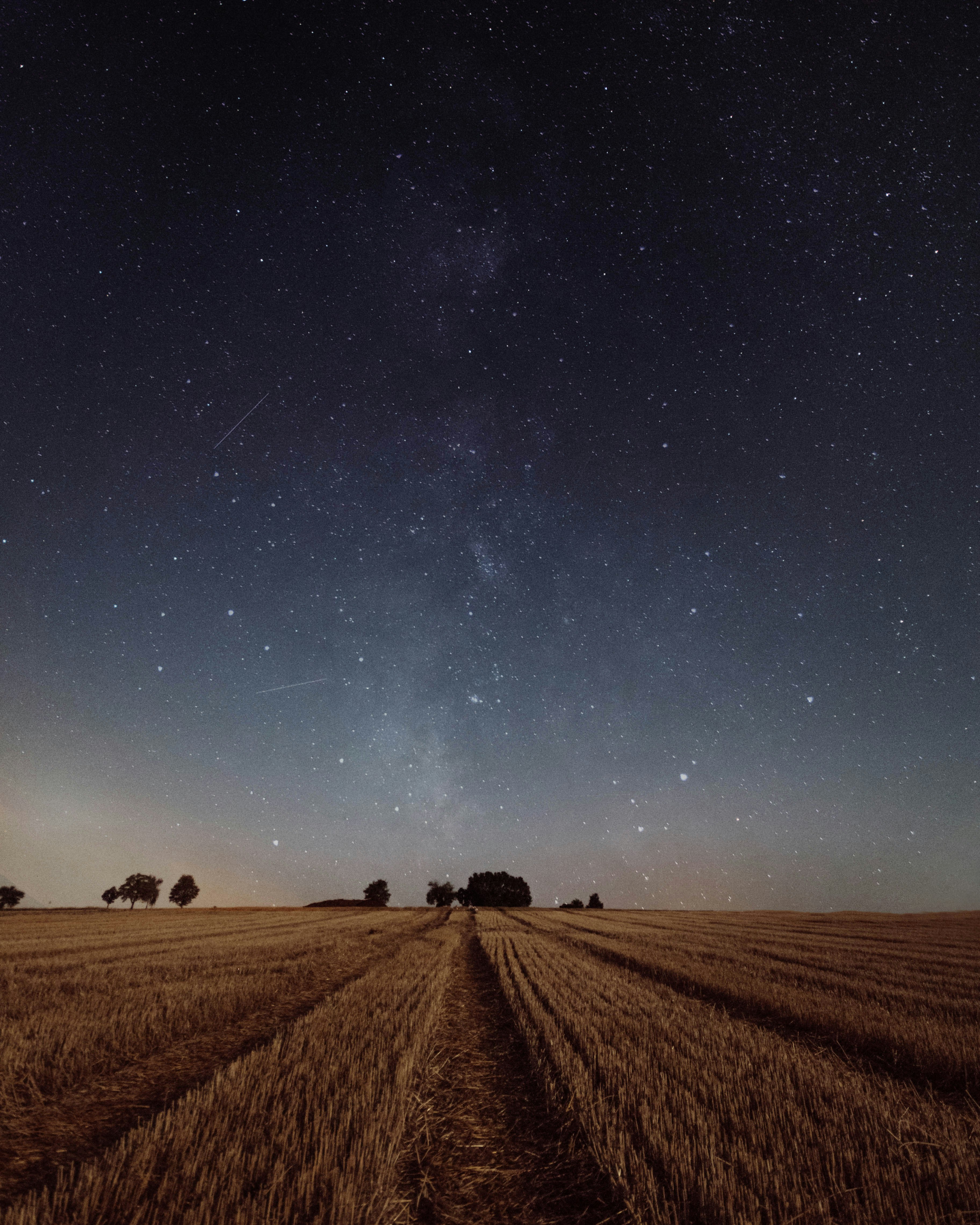 Starry Night Over Harvested Field