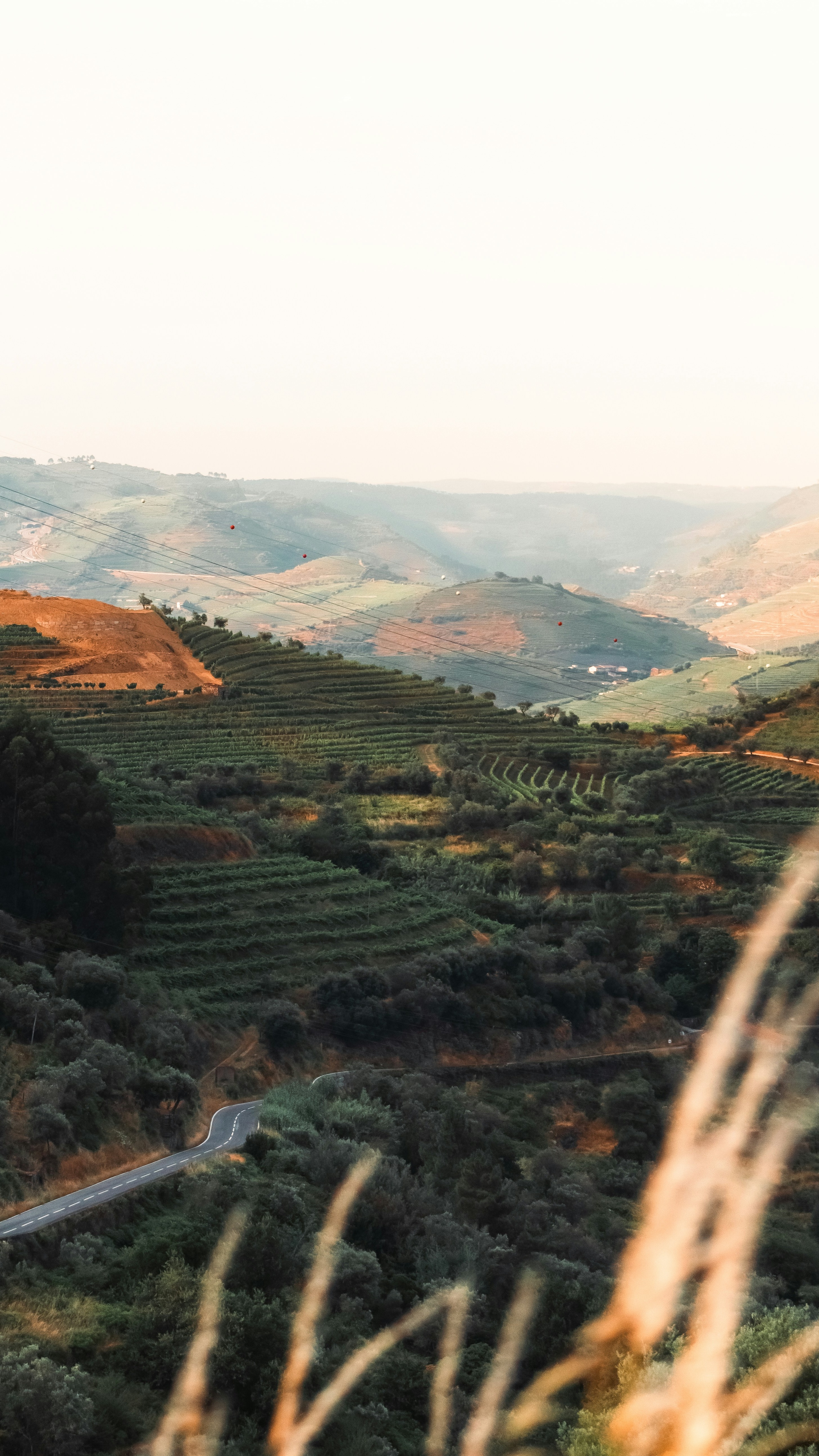 Landscapes