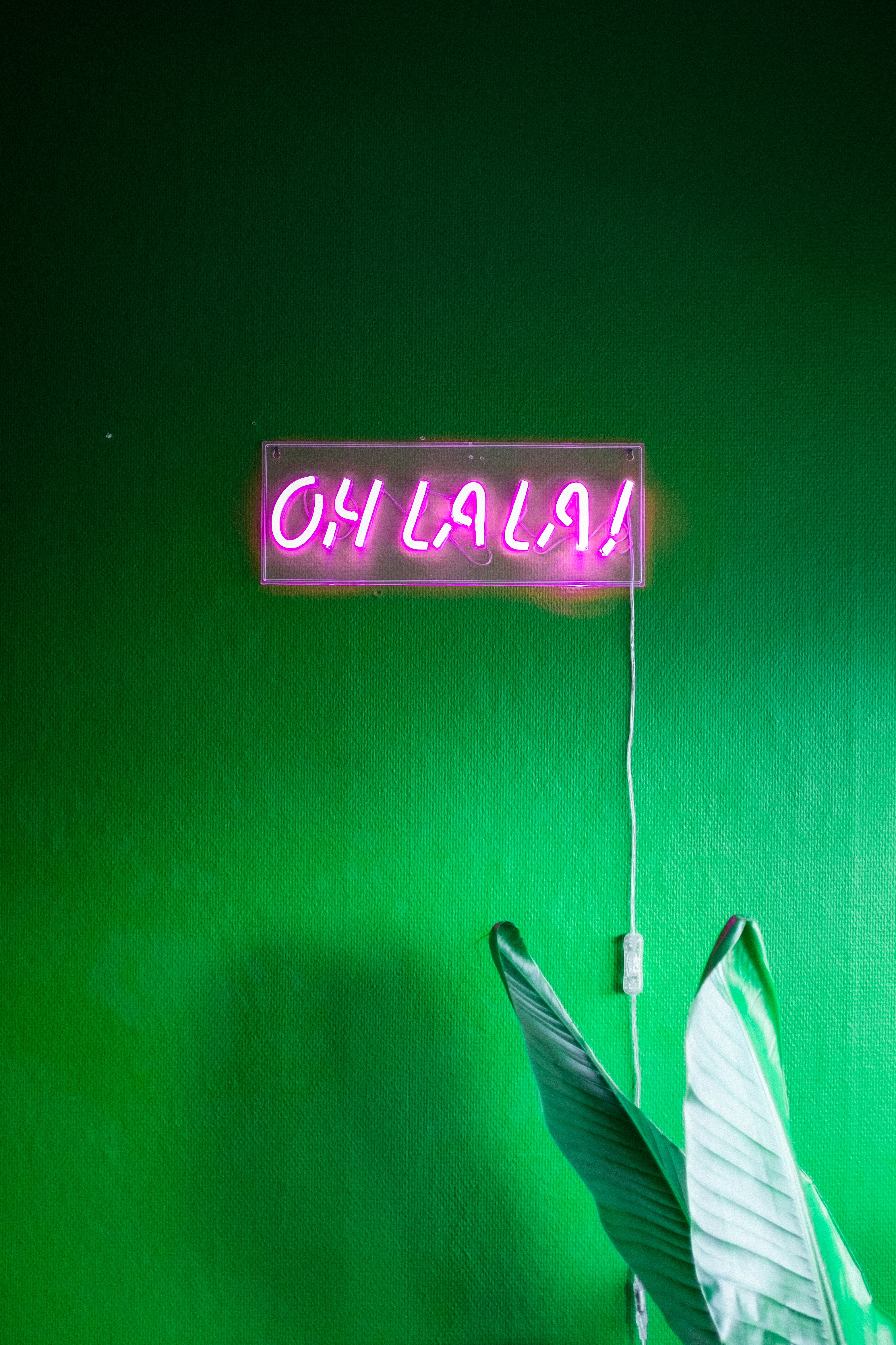 Wallpapers