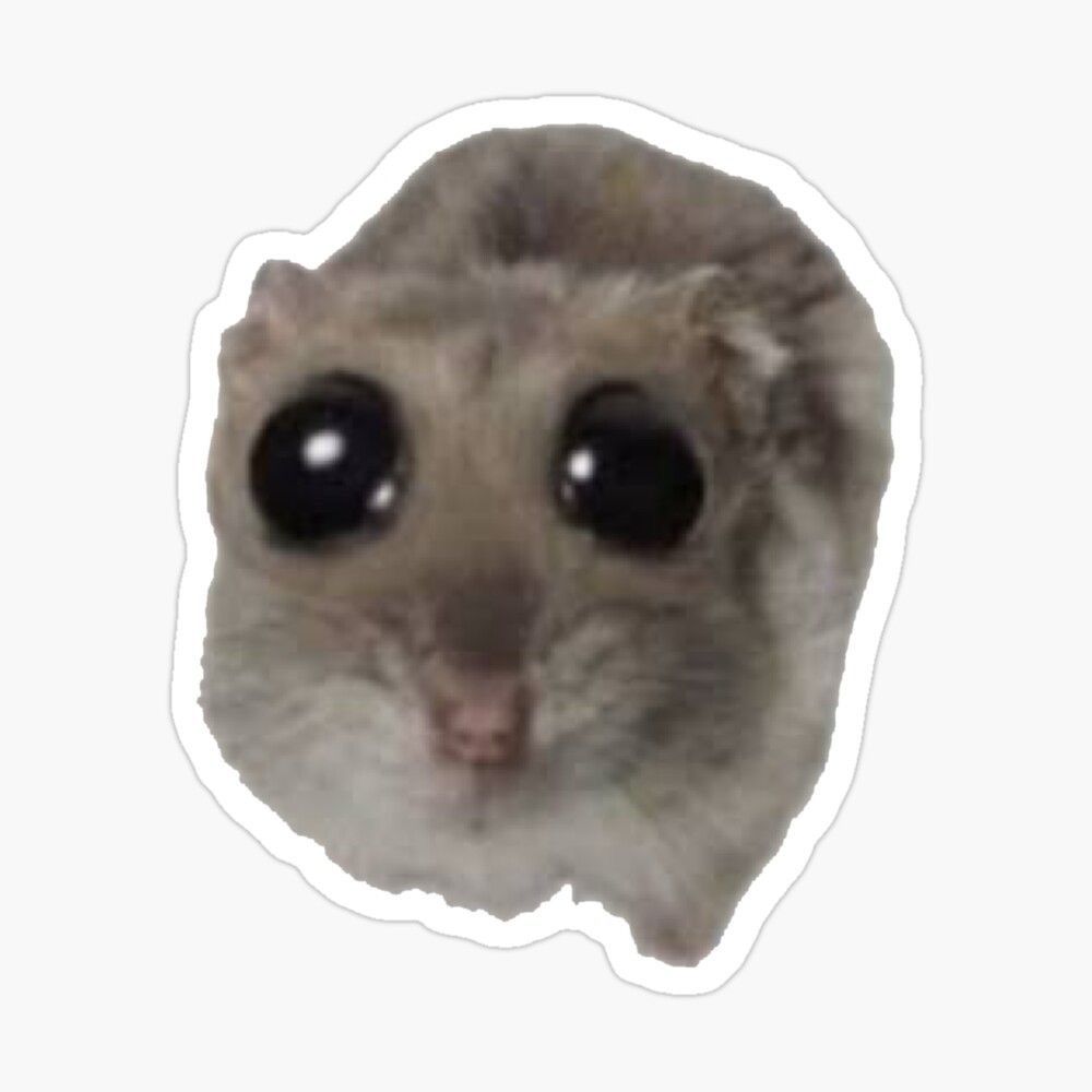Big Eyed Sad Hamster Meme