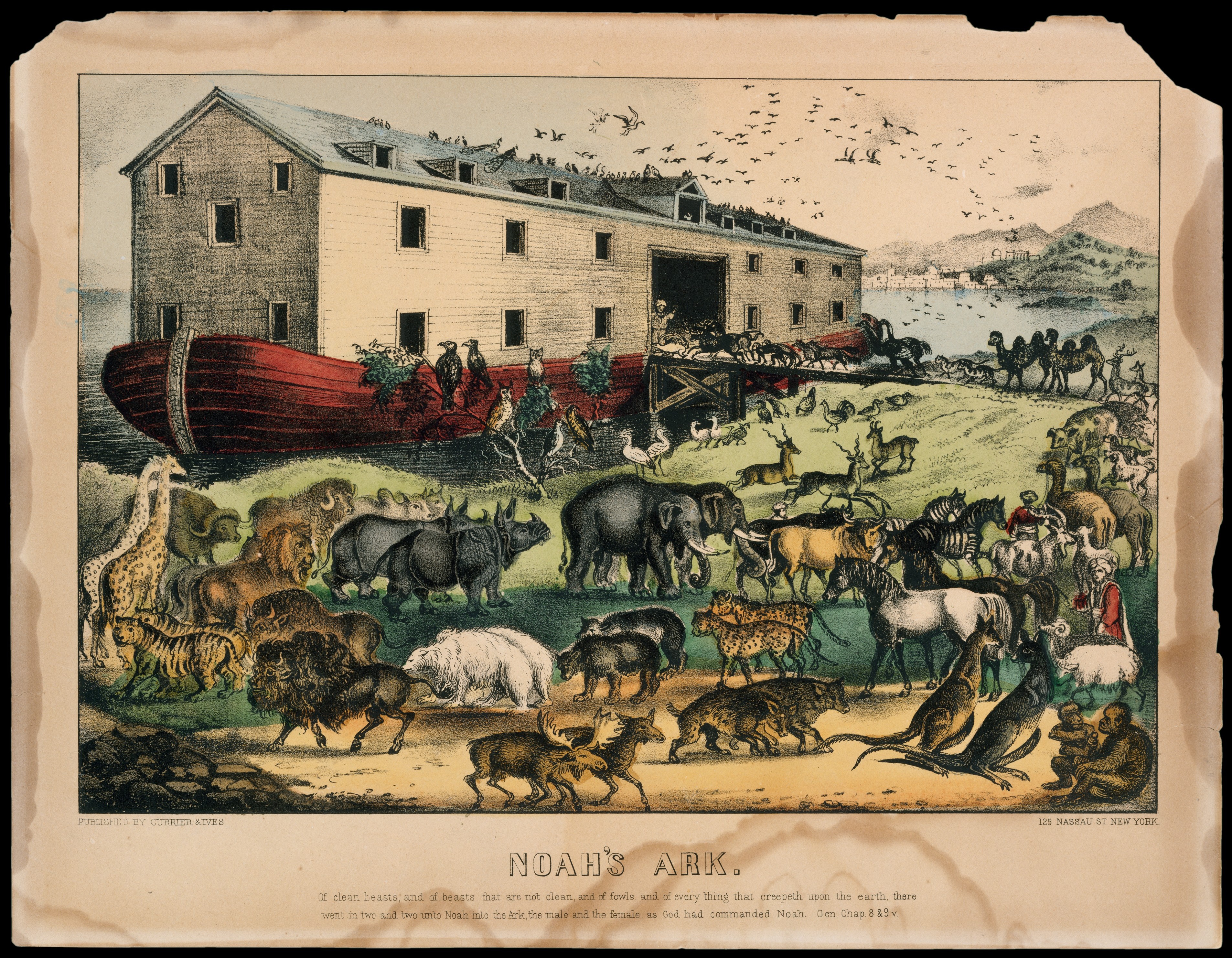 Noah's Ark Antique Illustration