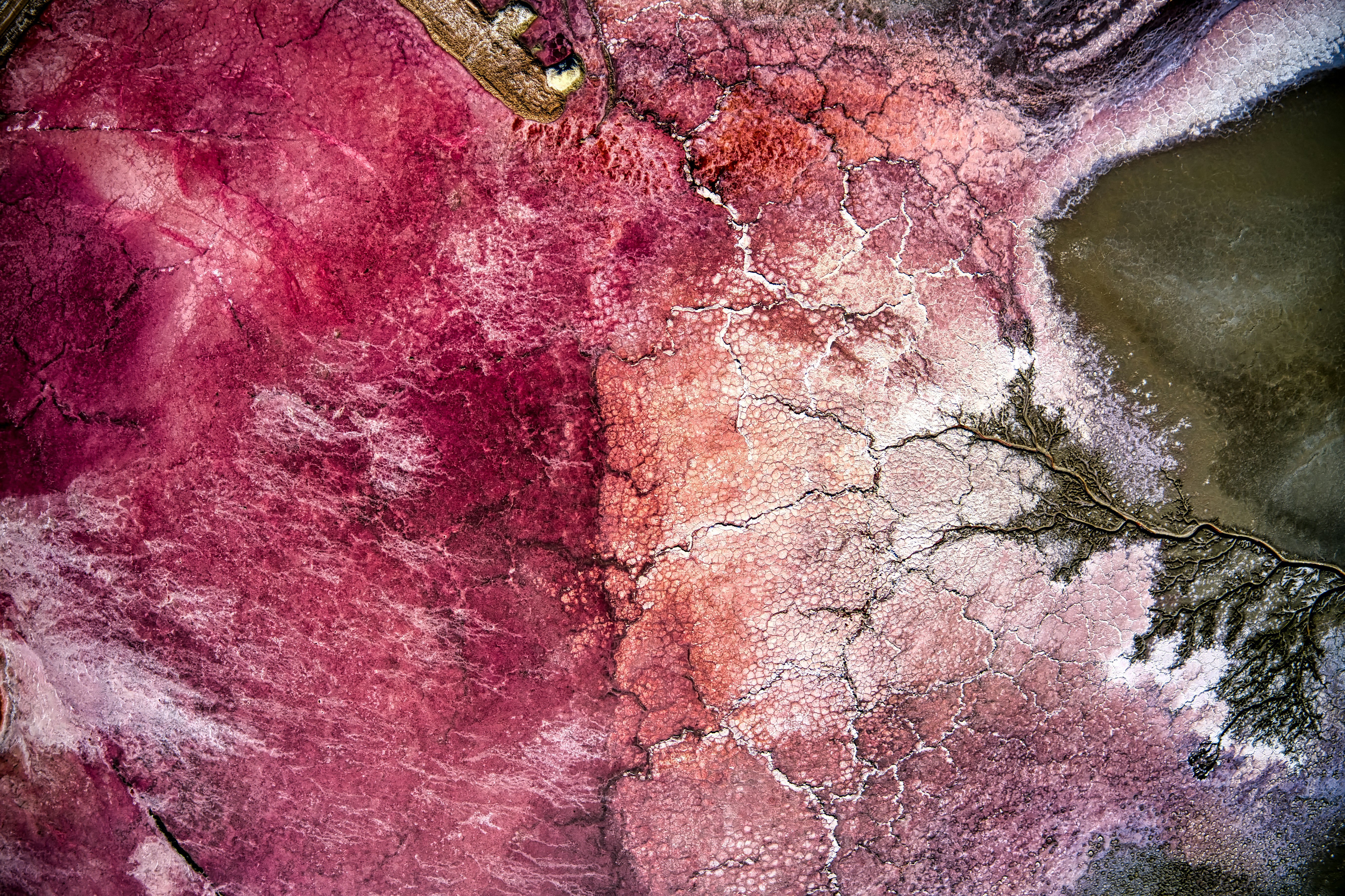 Aerial View of Pink Salt Lake