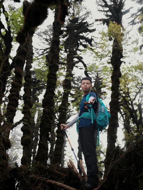 Hiker in Ancient Mossy Forest