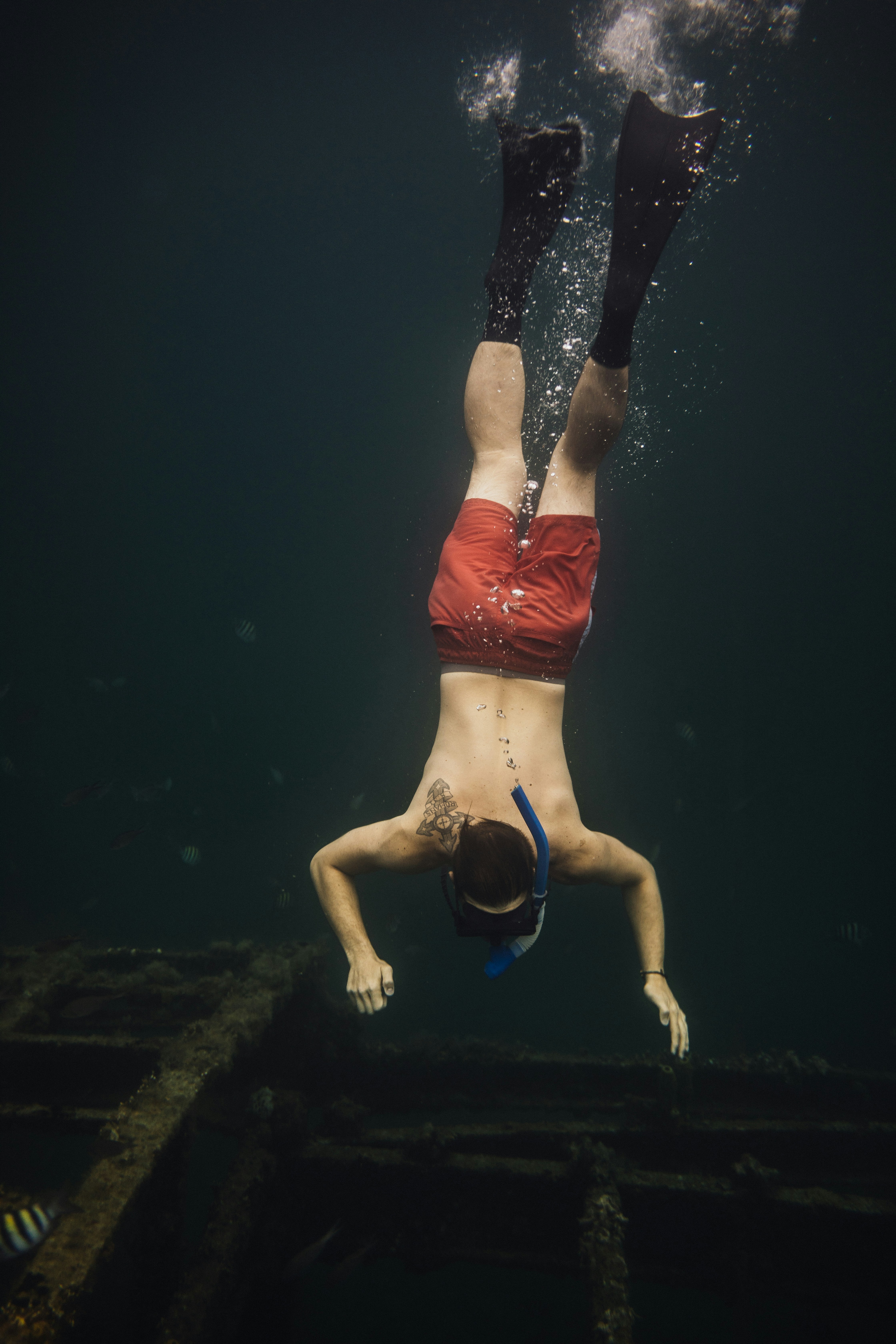 Freediver Exploring Underwater Wreck