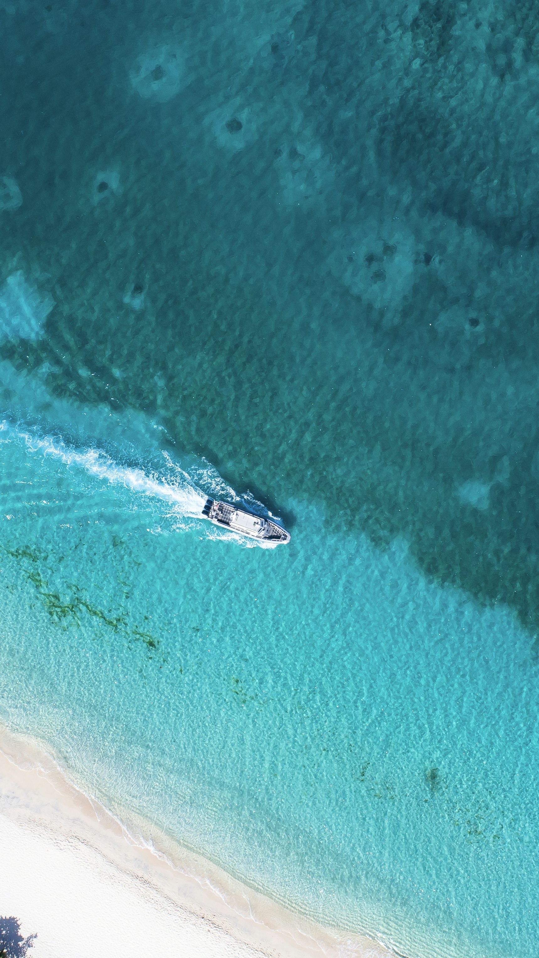 Wallpapers