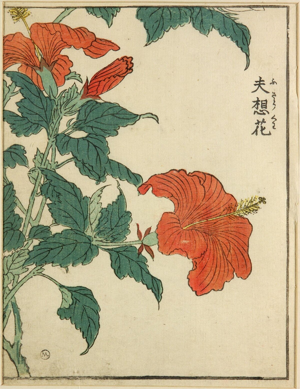 Woodblock Print of Red Hibiscus