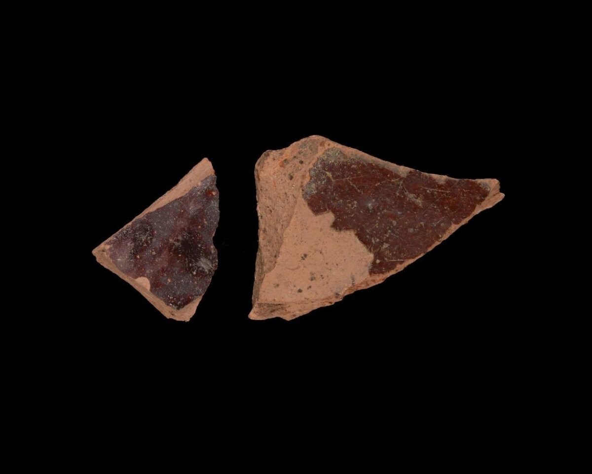 Two Ancient Pottery Shards