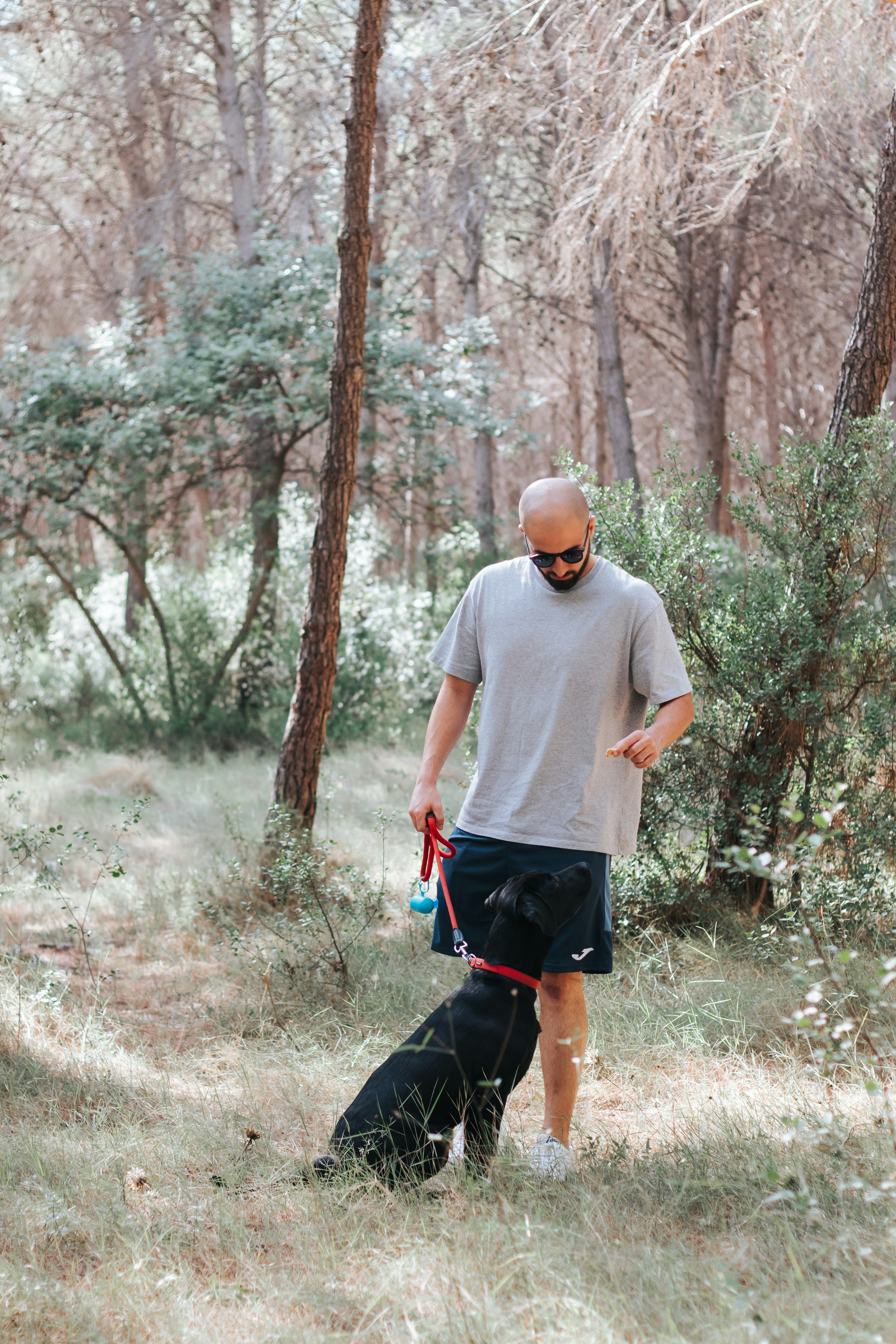 Man Walking Dog In Forest