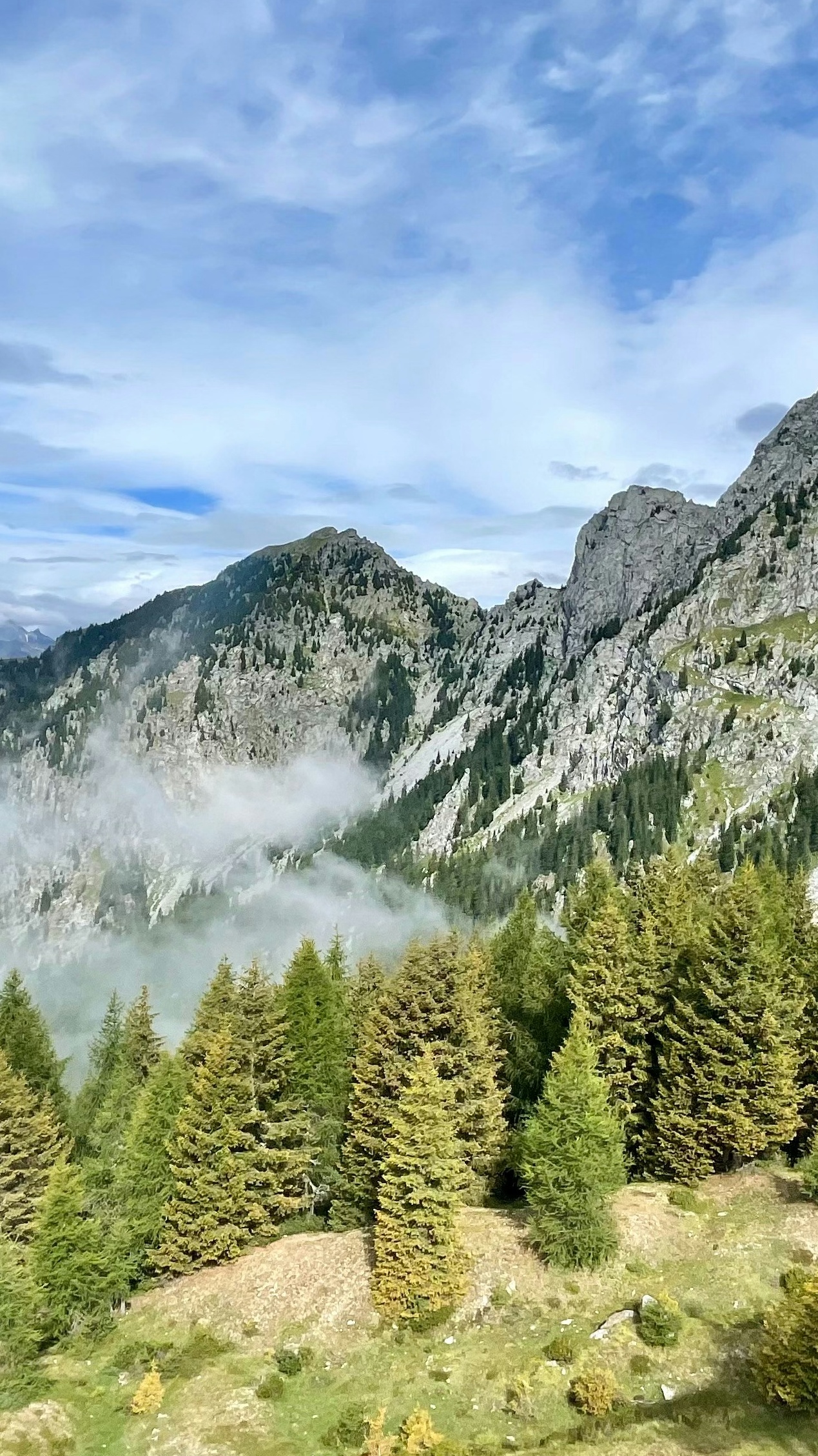 Misty Alpine Mountain Landscape