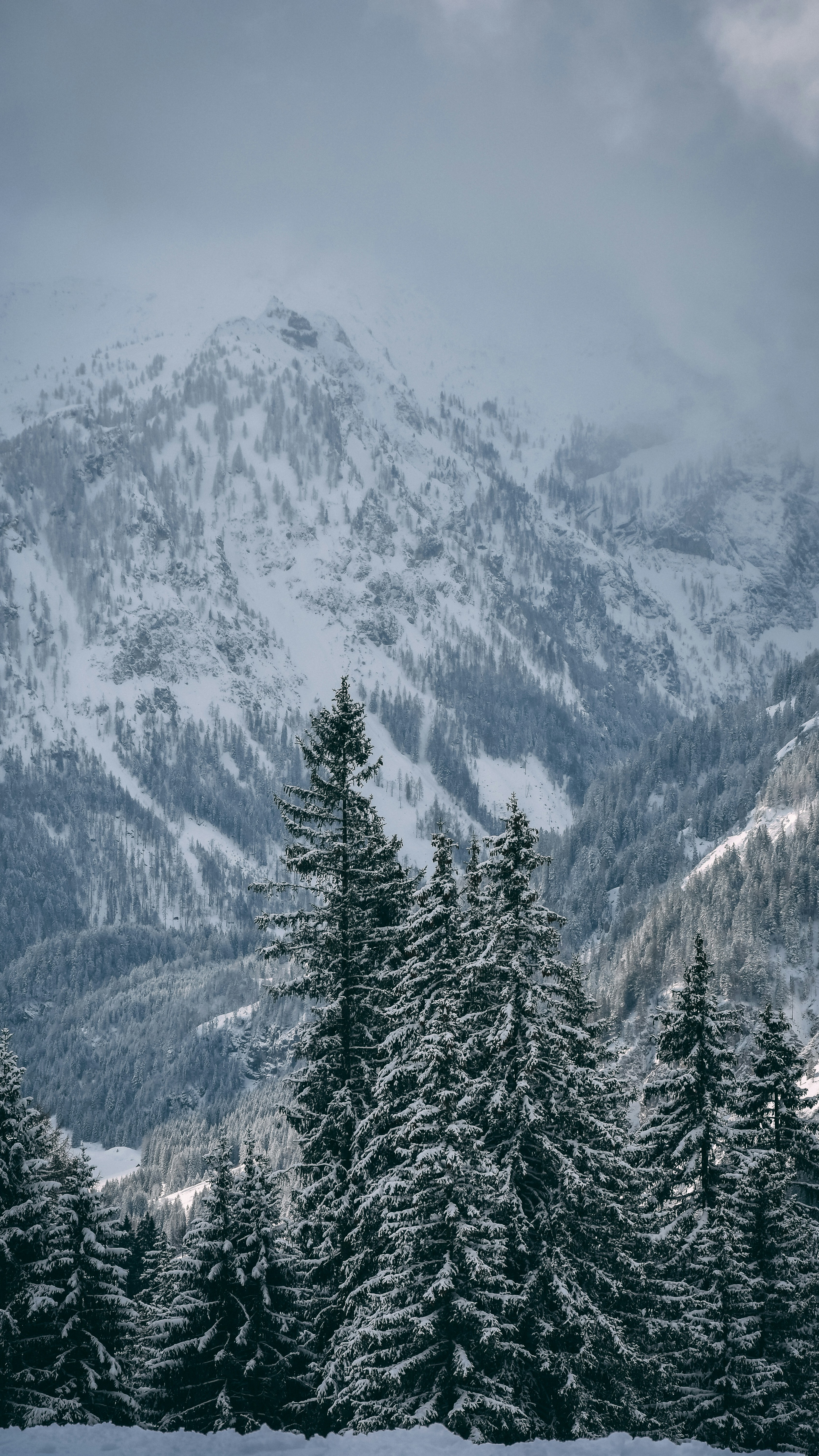 Wallpapers