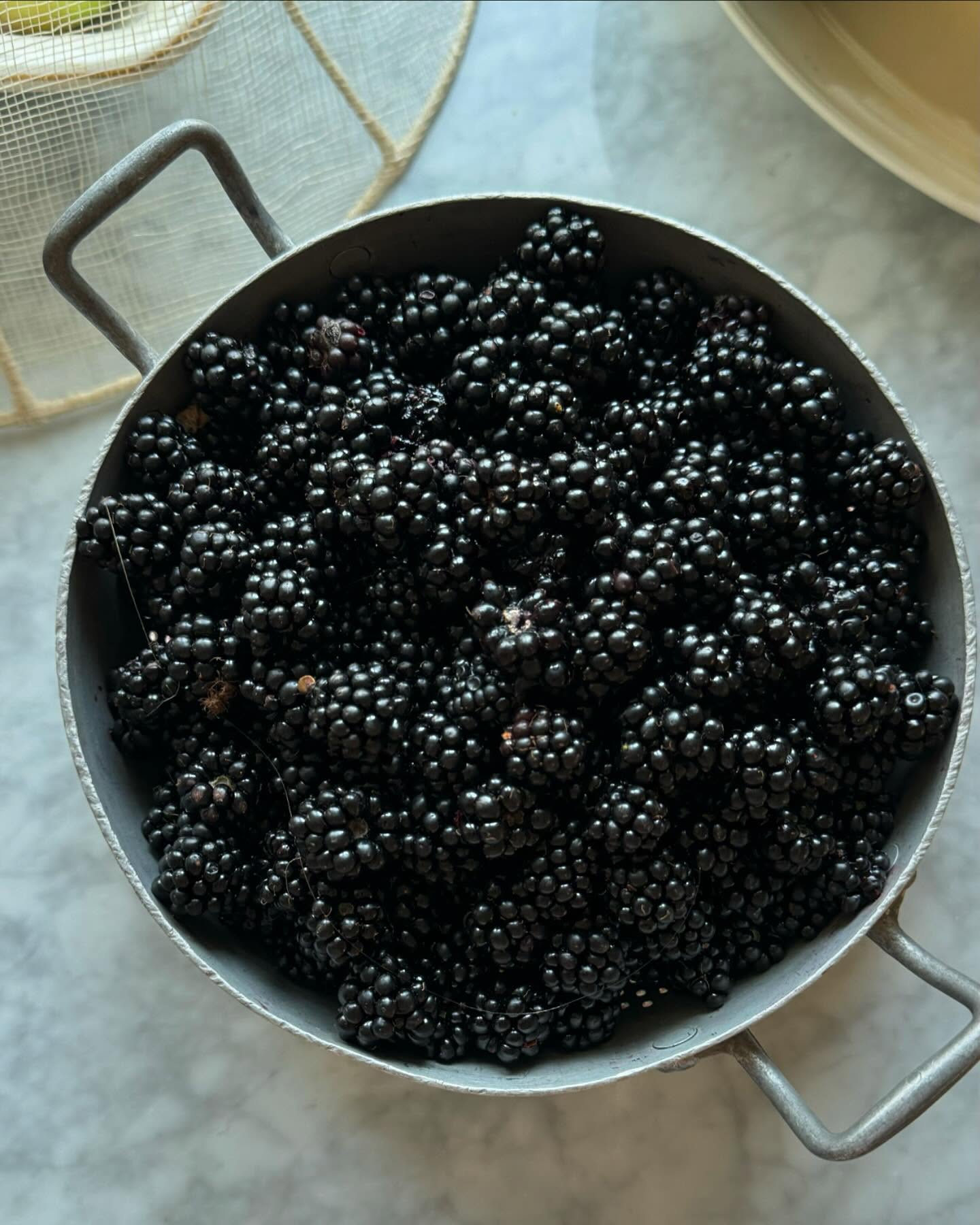 Fresh Blackberries in Metal Colander
