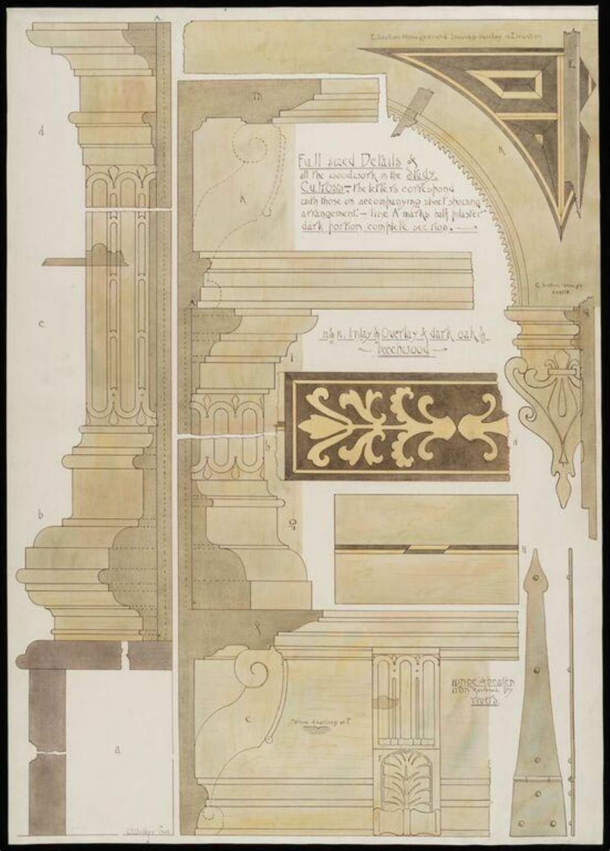 Gothic Woodwork Architectural Drawing
