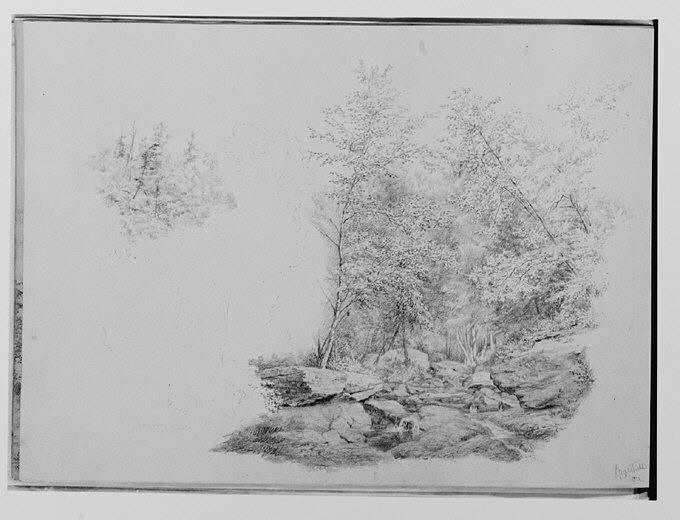 Pencil Sketch of Rocky Woodland