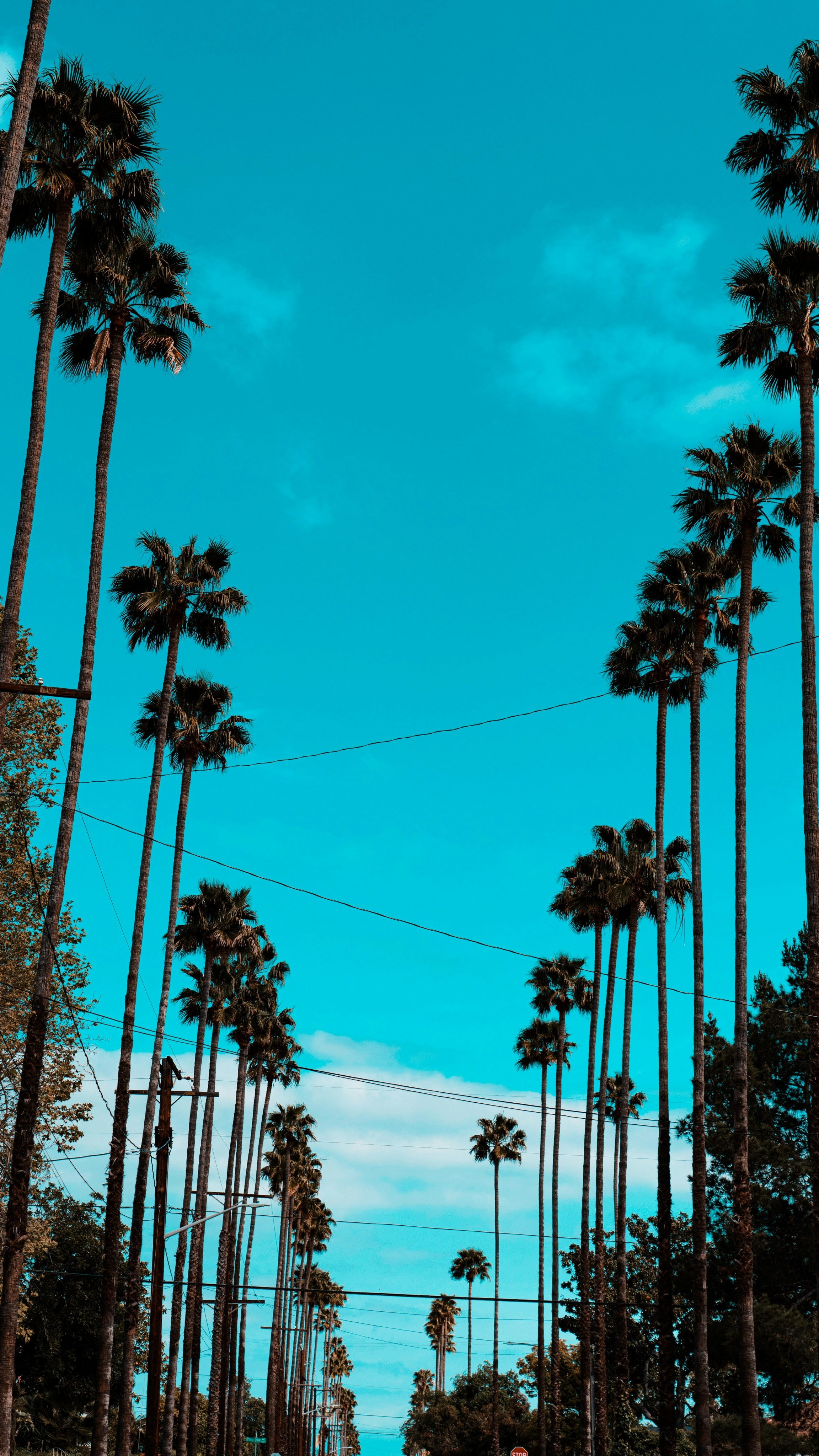 Wallpapers