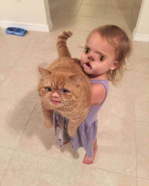 Image 24231 — Funny