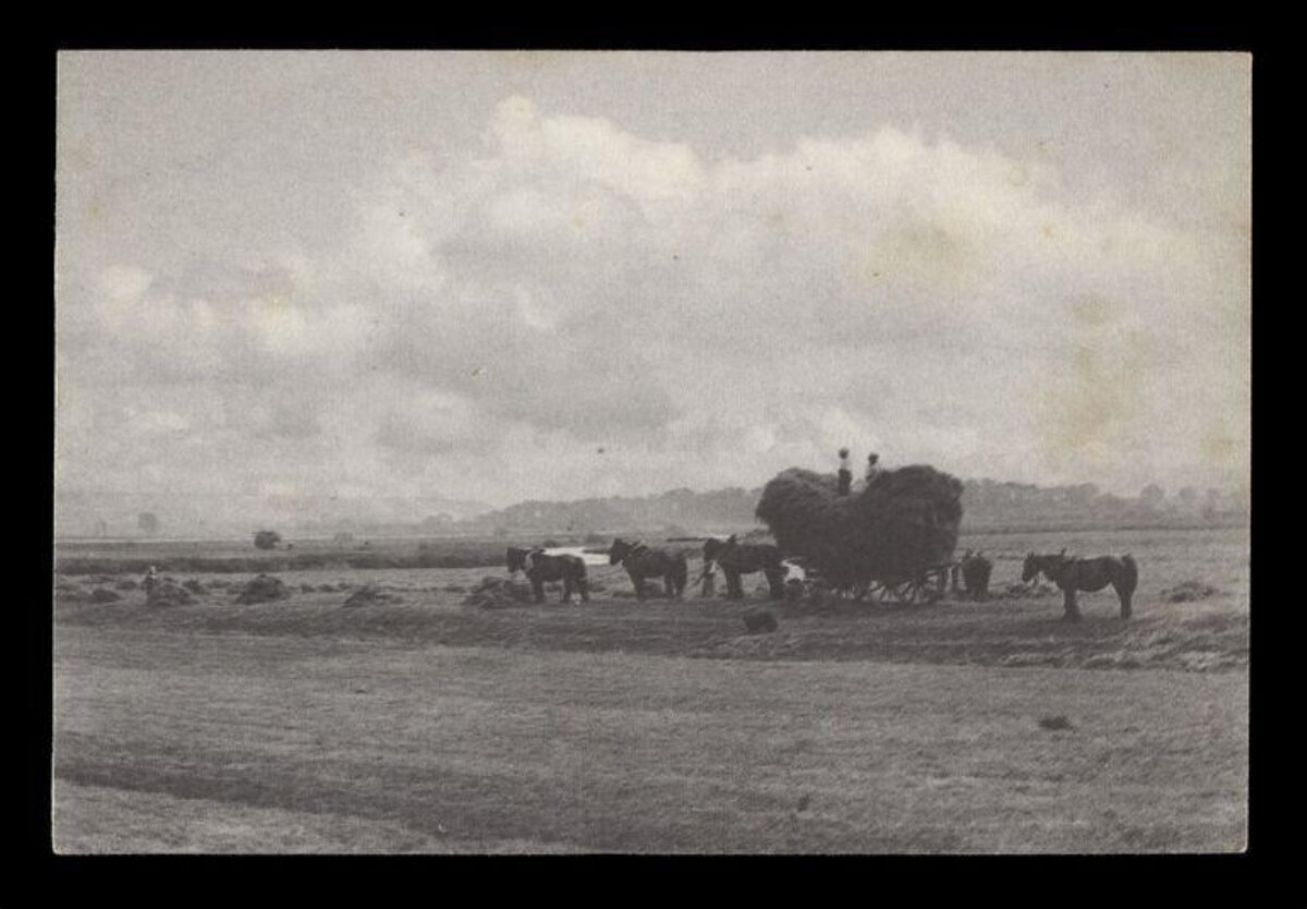 Vintage Rural Hay Harvesting Scene