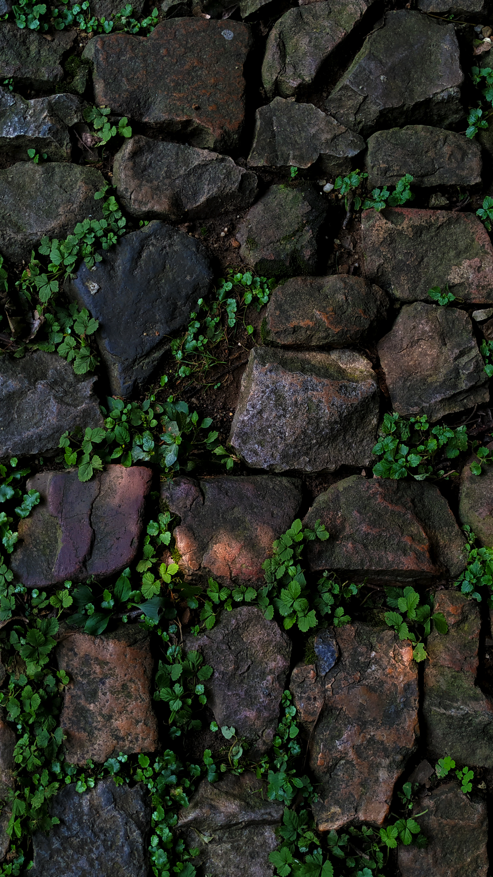 Wallpapers