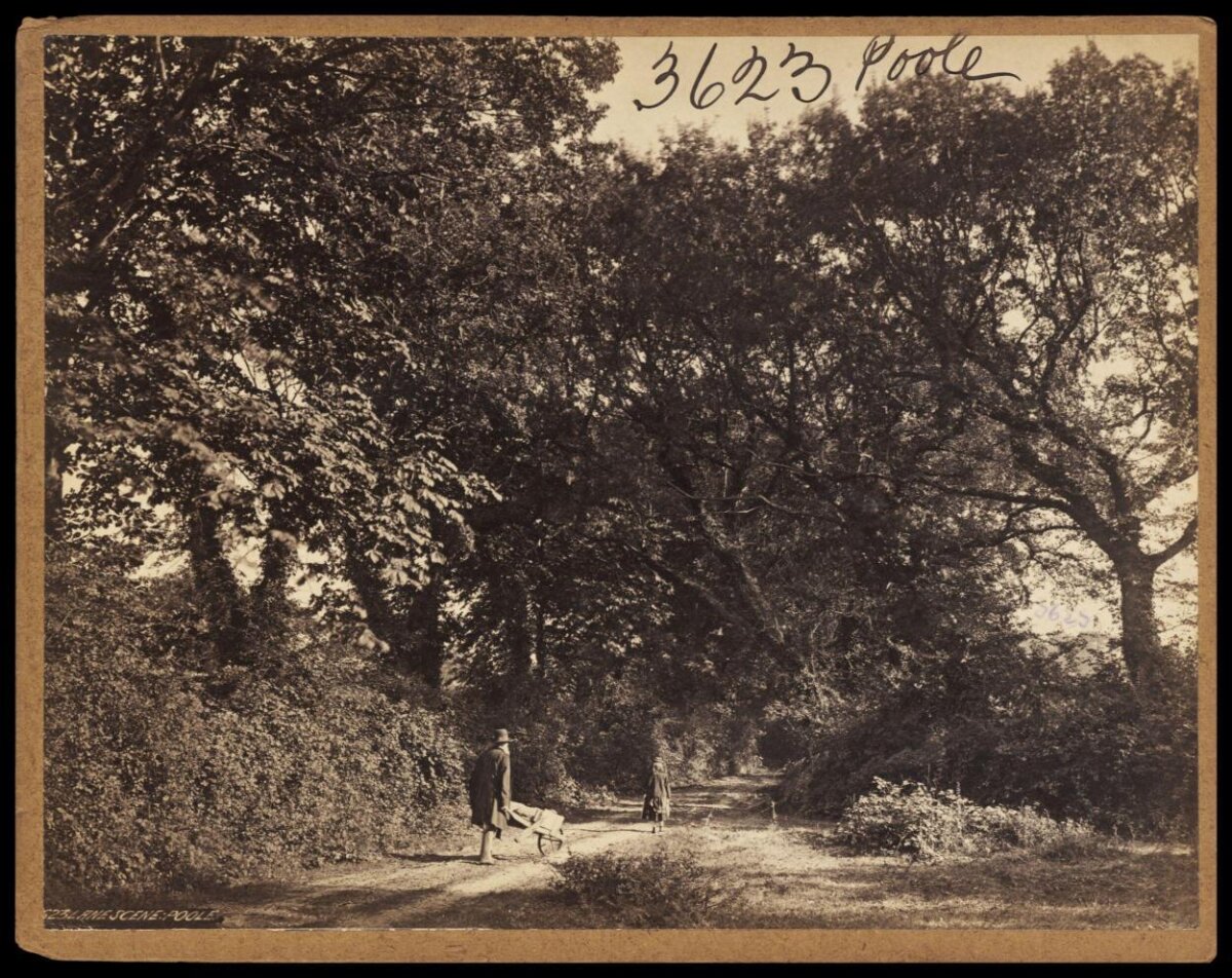 Lane Scene at Poole