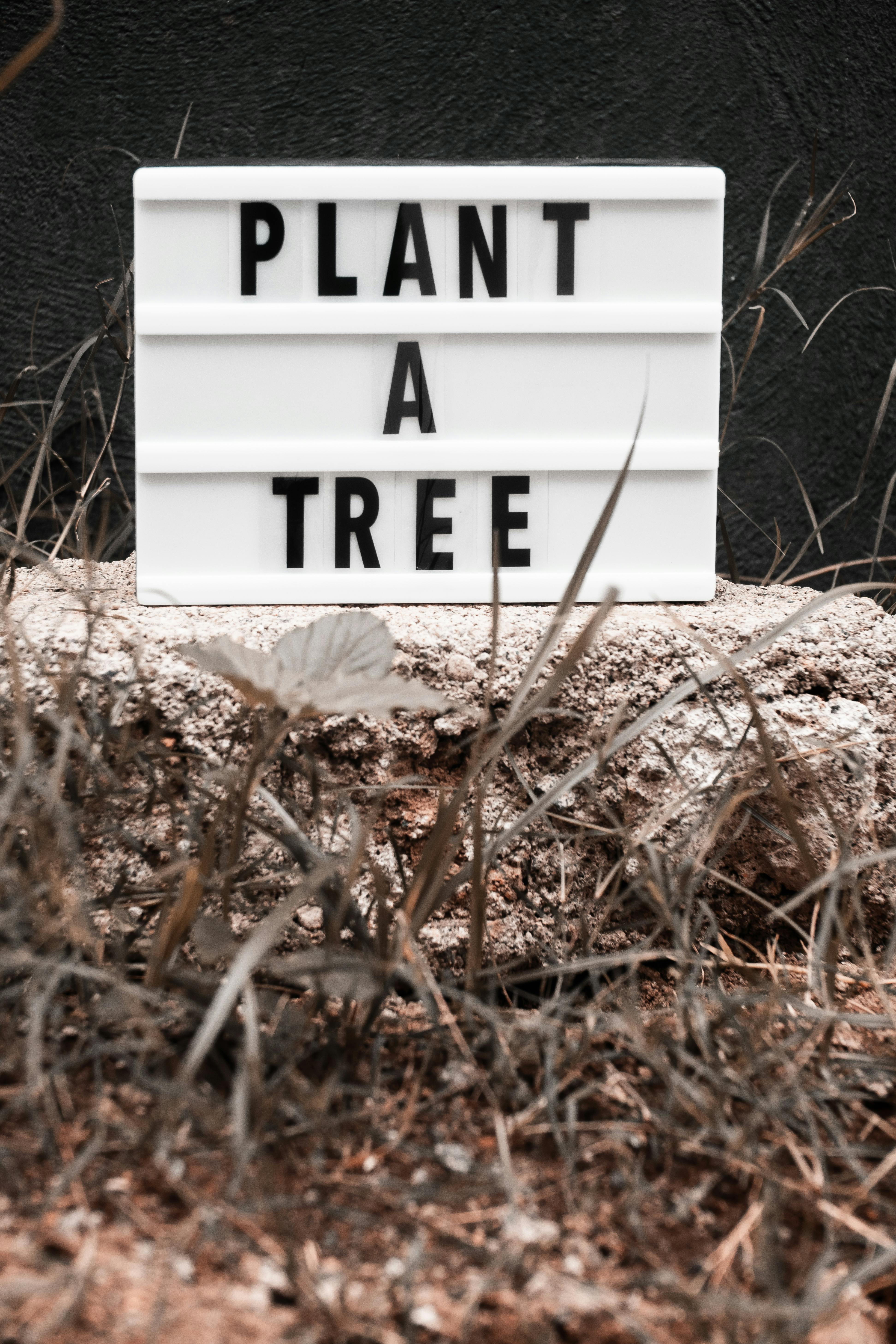 Plant A Tree Advocacy Sign