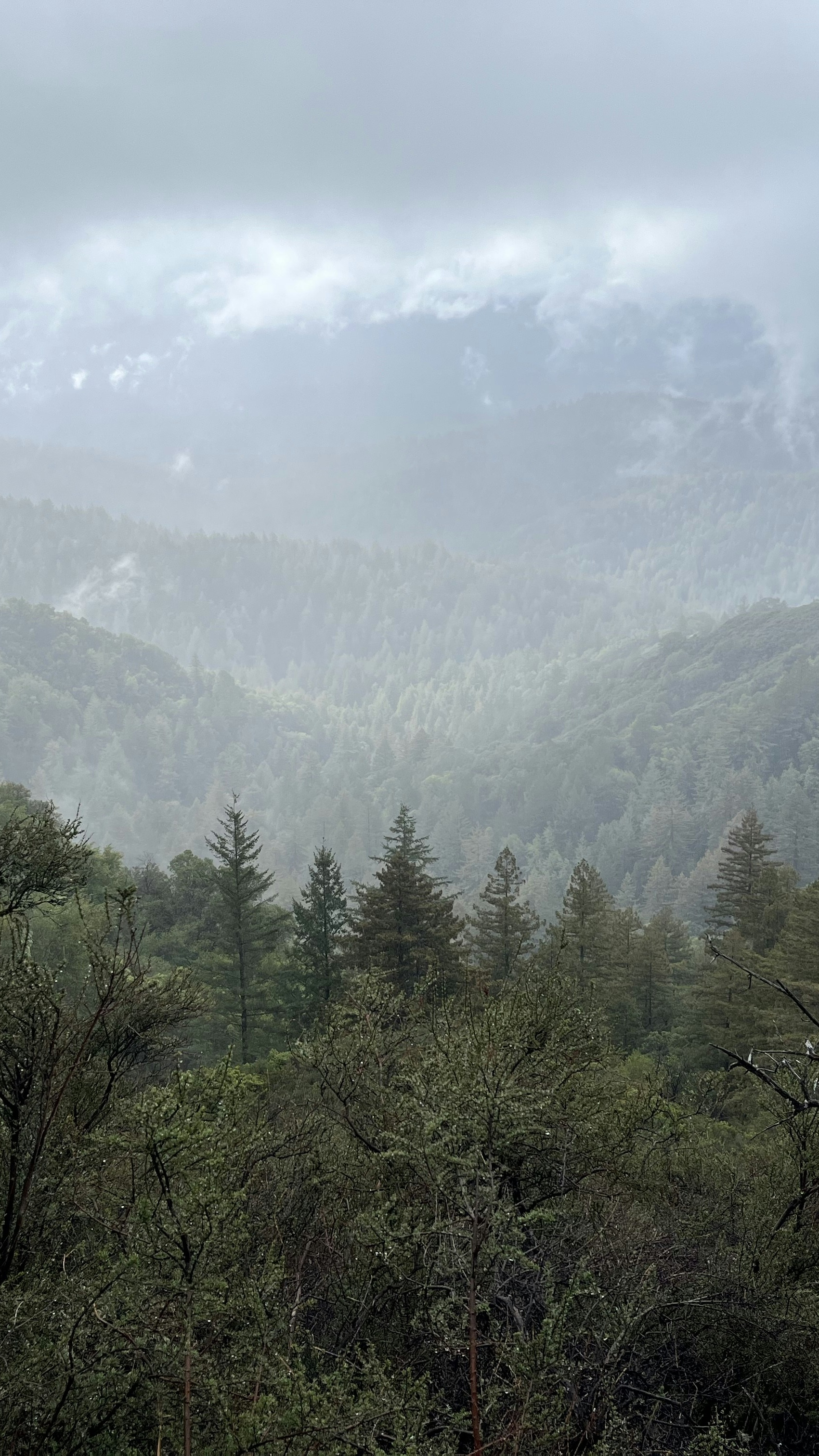Landscapes