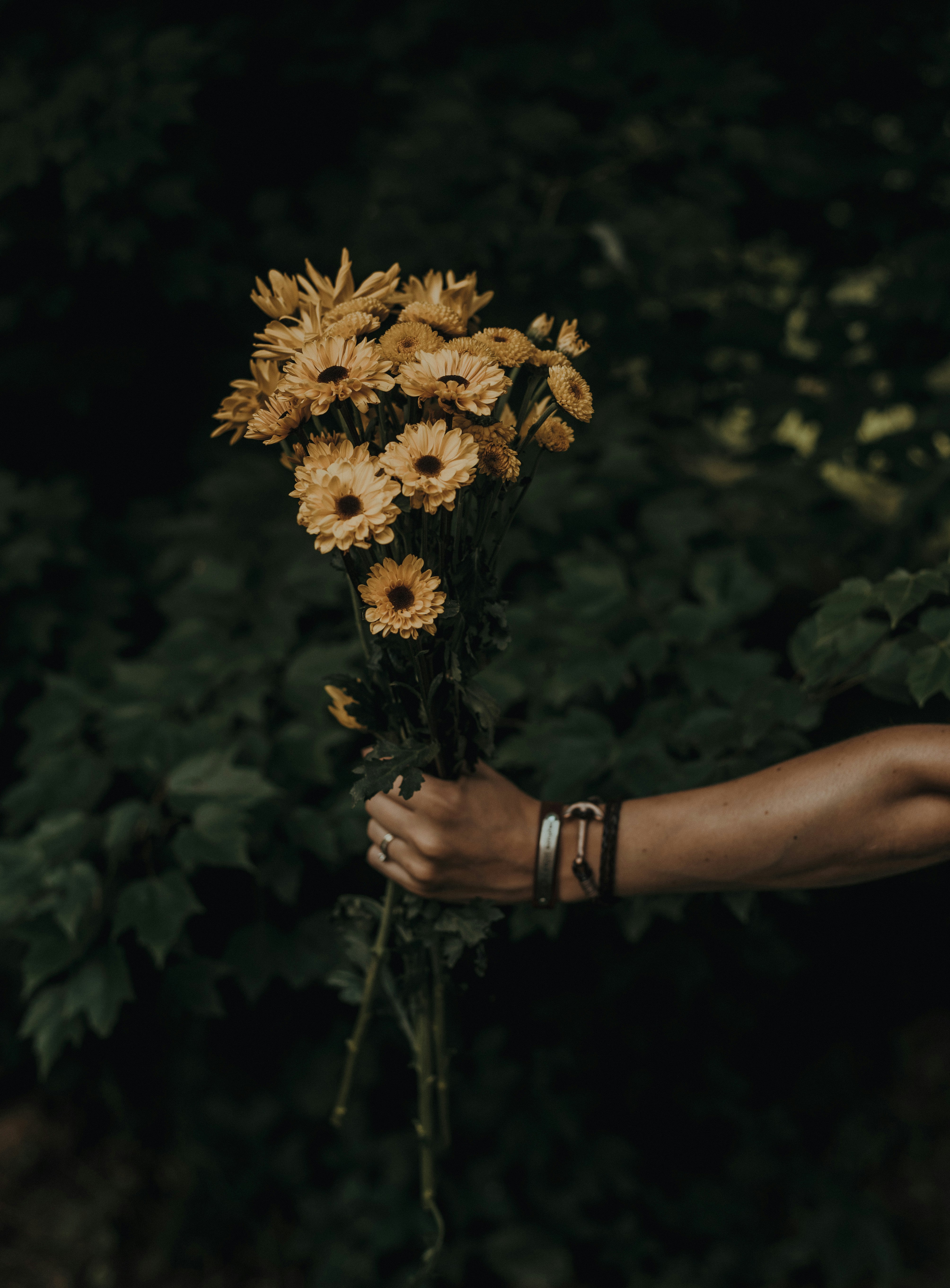 Hand Holding Yellow Chrysanthemum Bouquet