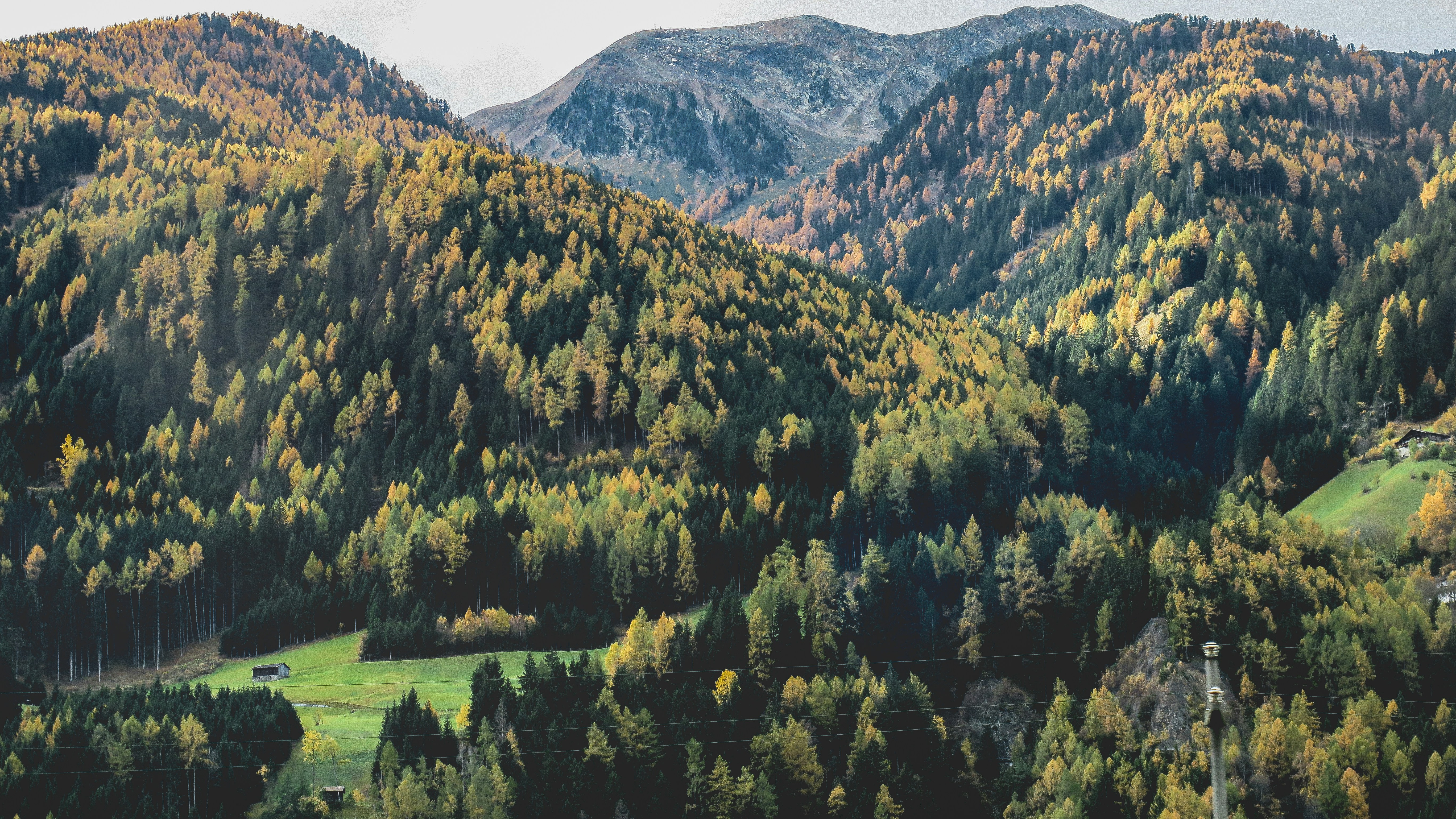 Autumn Mountain Forest Landscape