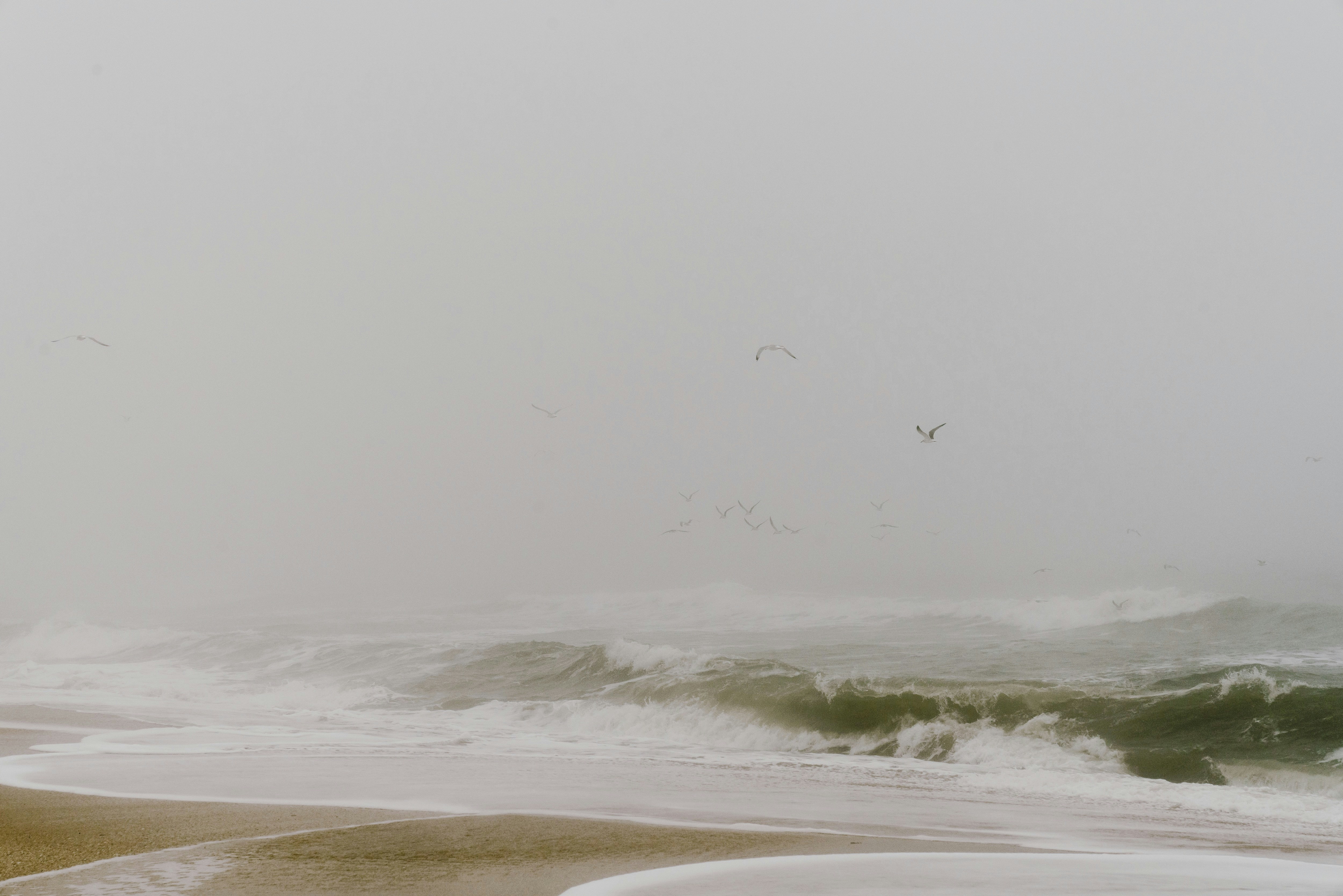 Foggy Beach Seascape