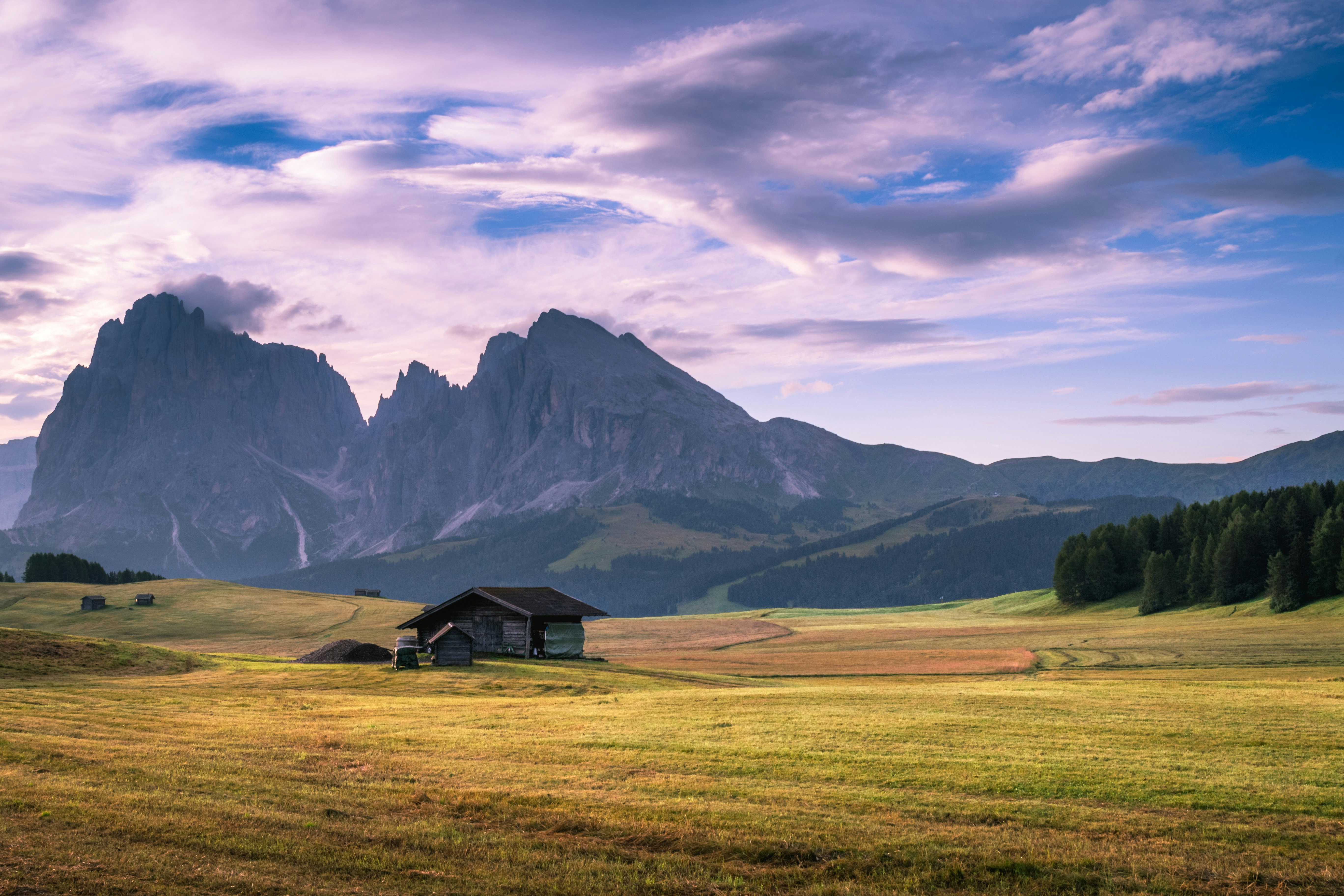 Alpine Meadow Cabin Landscape