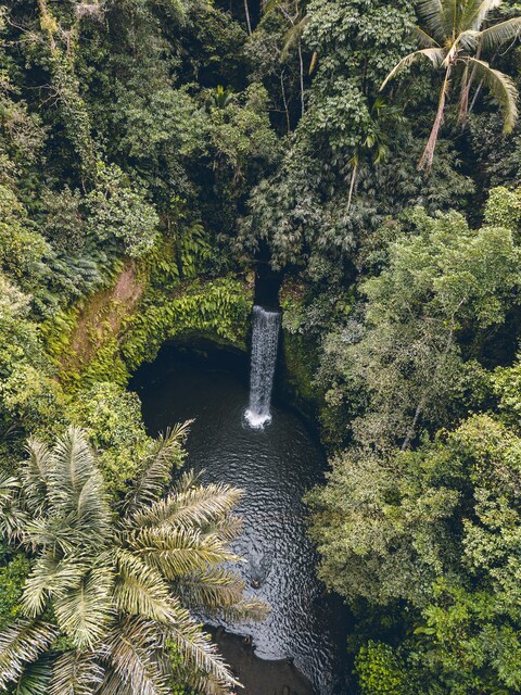 Hidden Waterfall in Tropical Rainforest