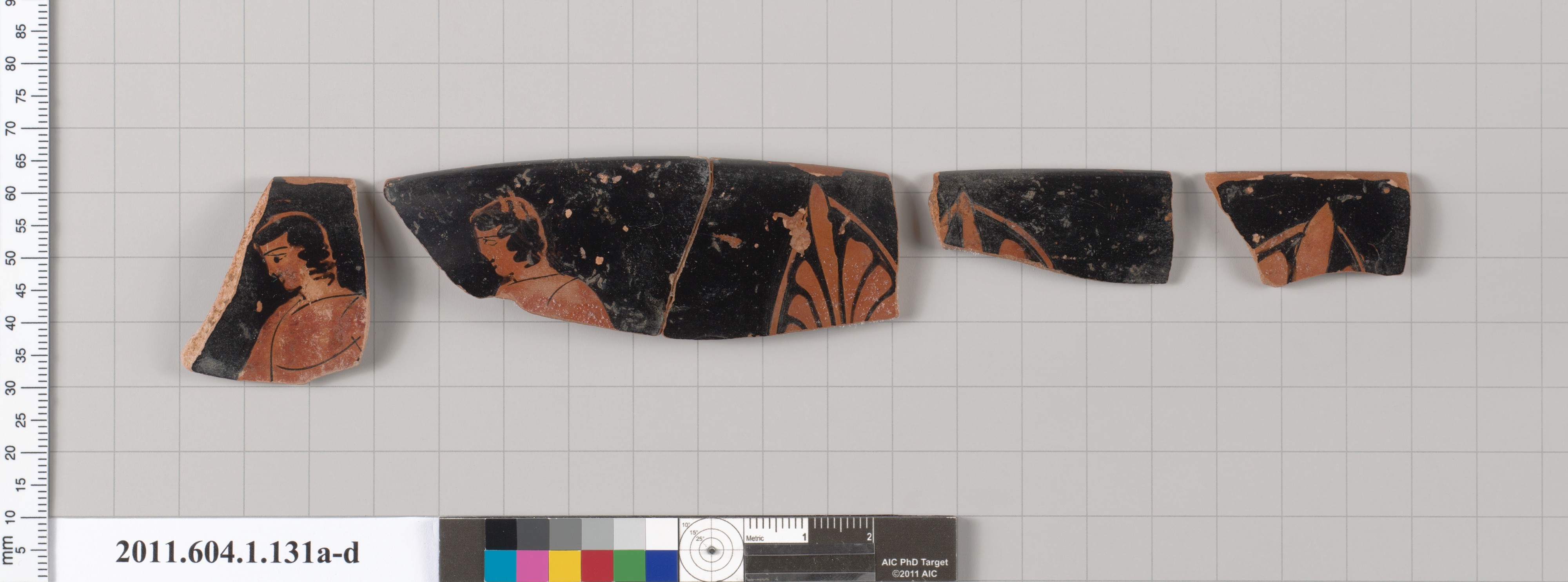 Ancient Terracotta Pottery Fragments