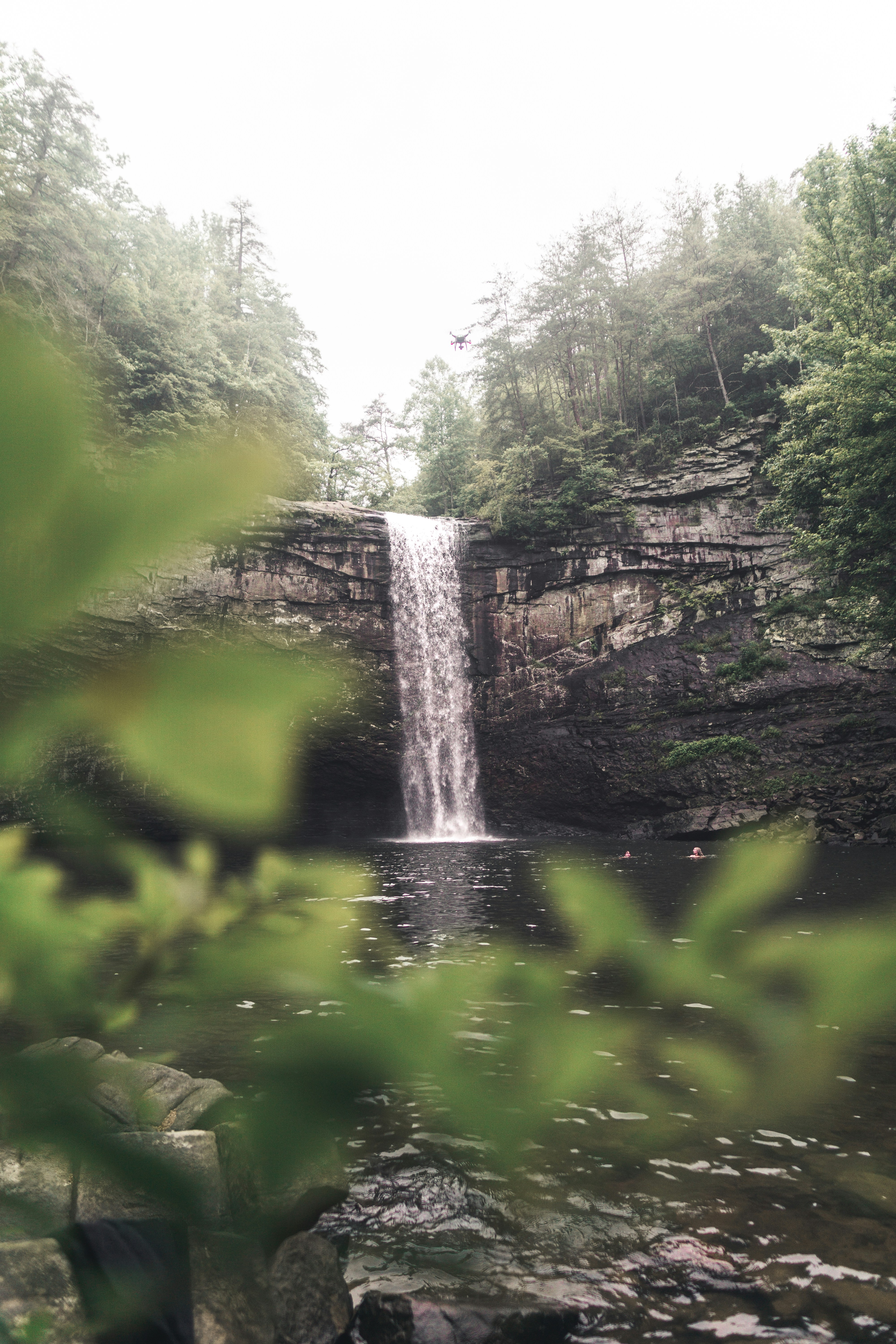 Forest Waterfall Swimming Hole