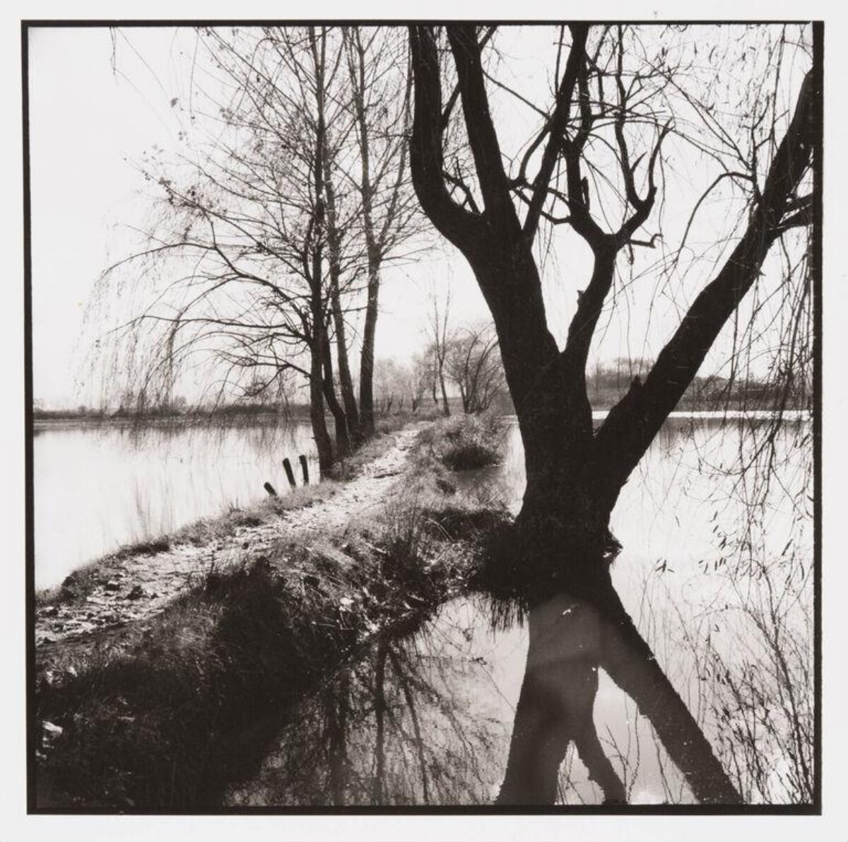 Black and White Waterside Path with Bare Trees