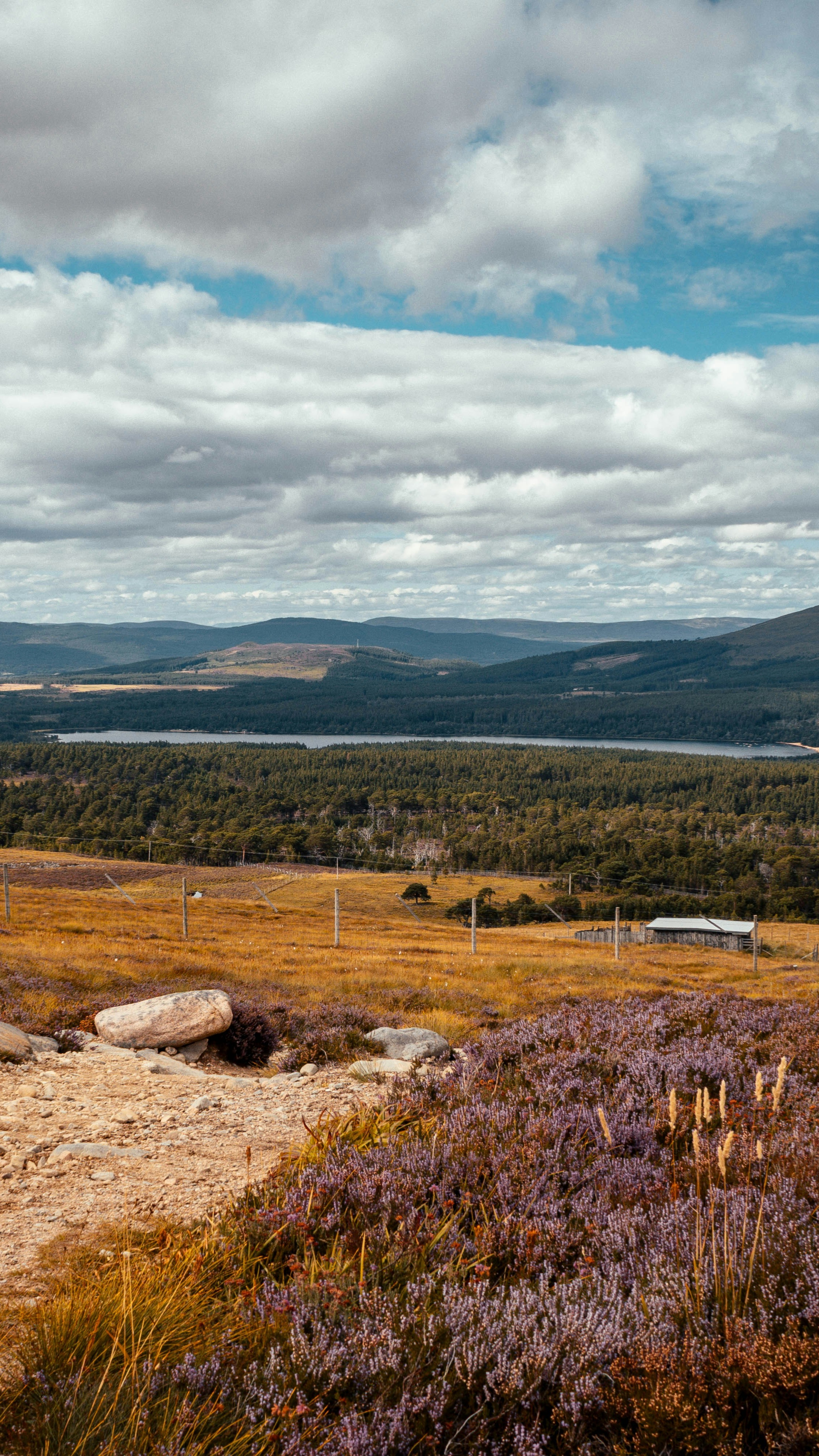 Landscapes