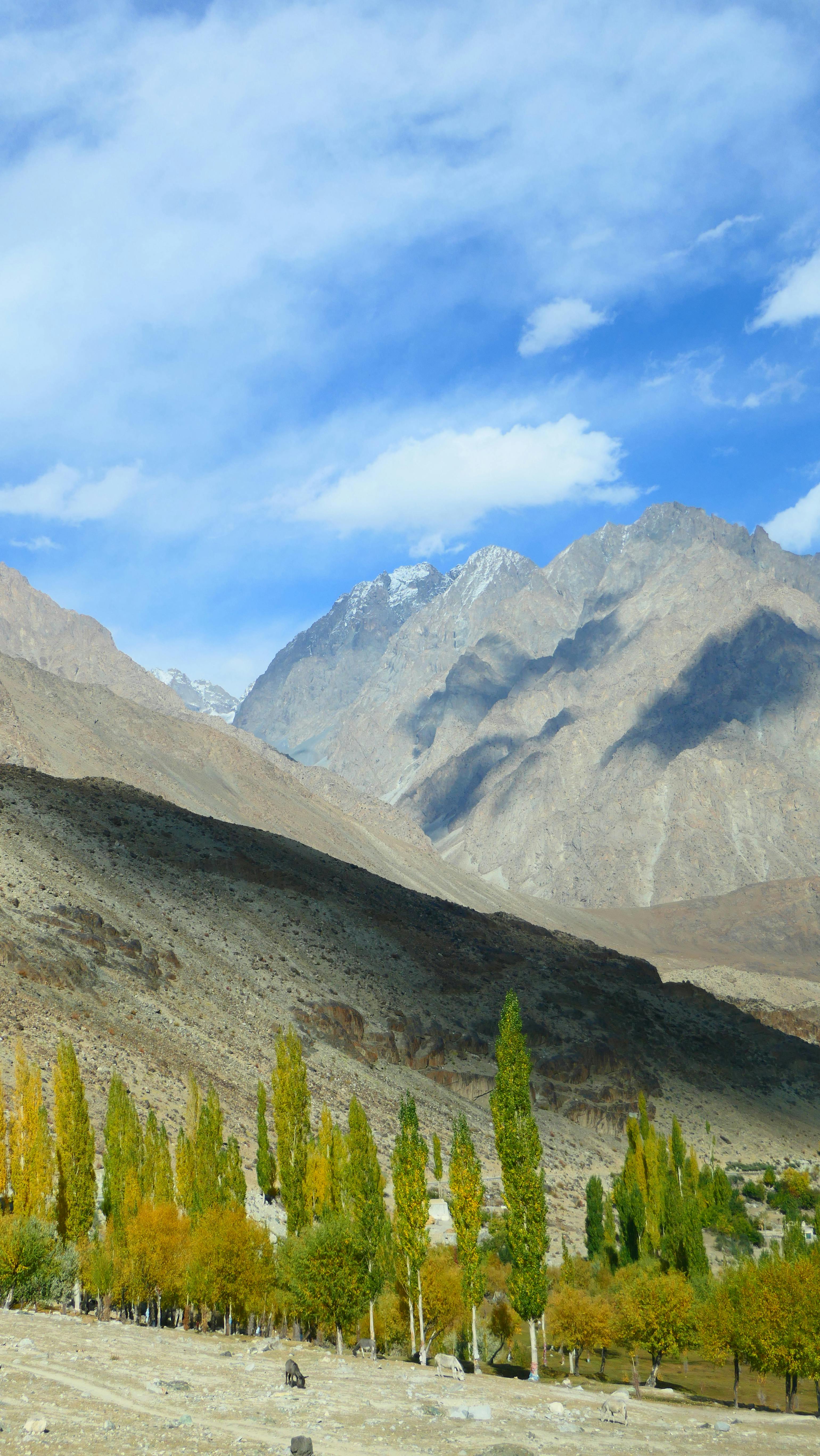 Autumn Mountain Valley Landscape