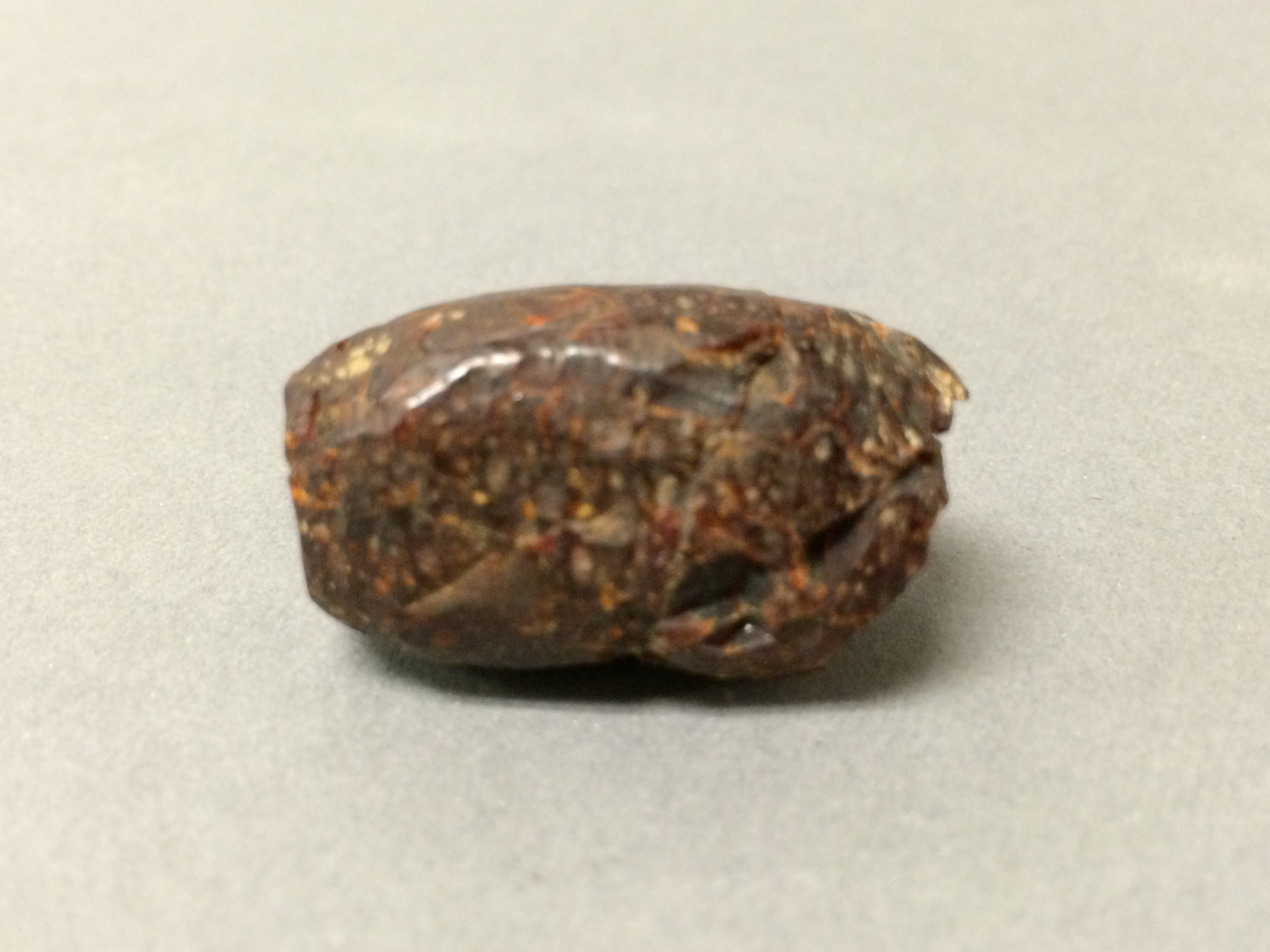 Brown Rough Stone Specimen