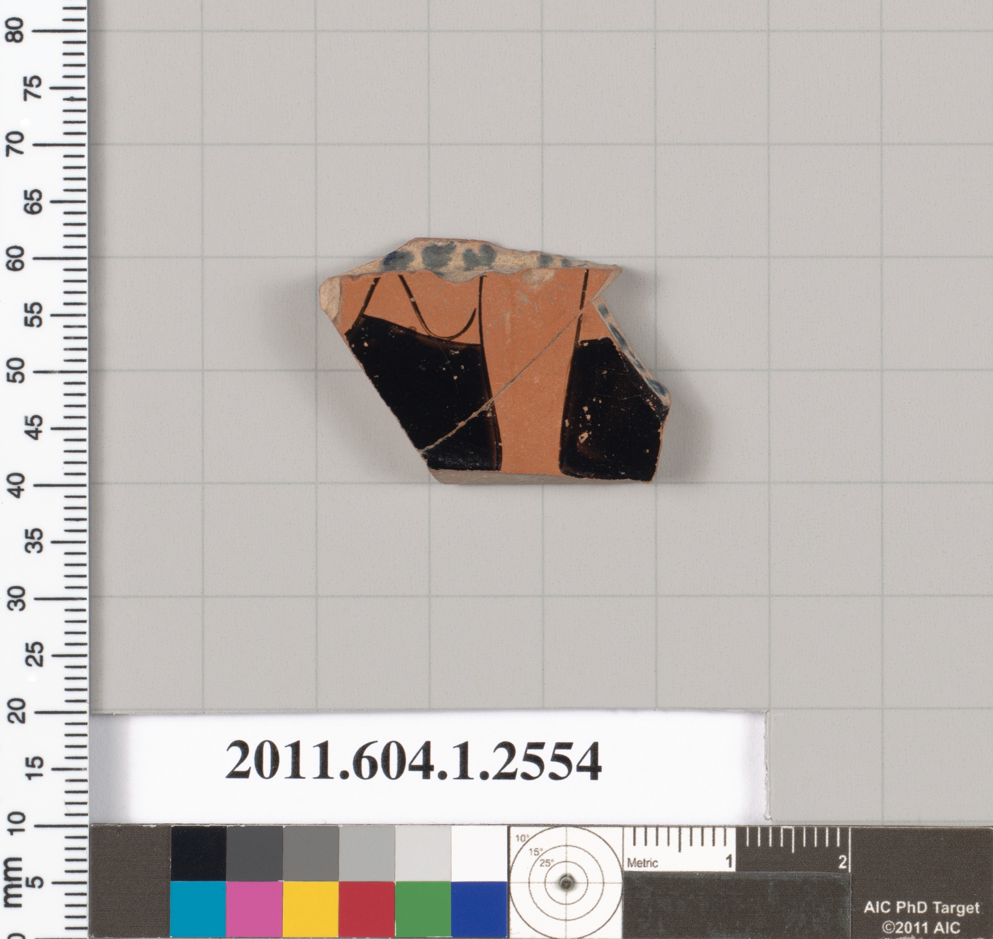 Ancient Greek Pottery Fragment