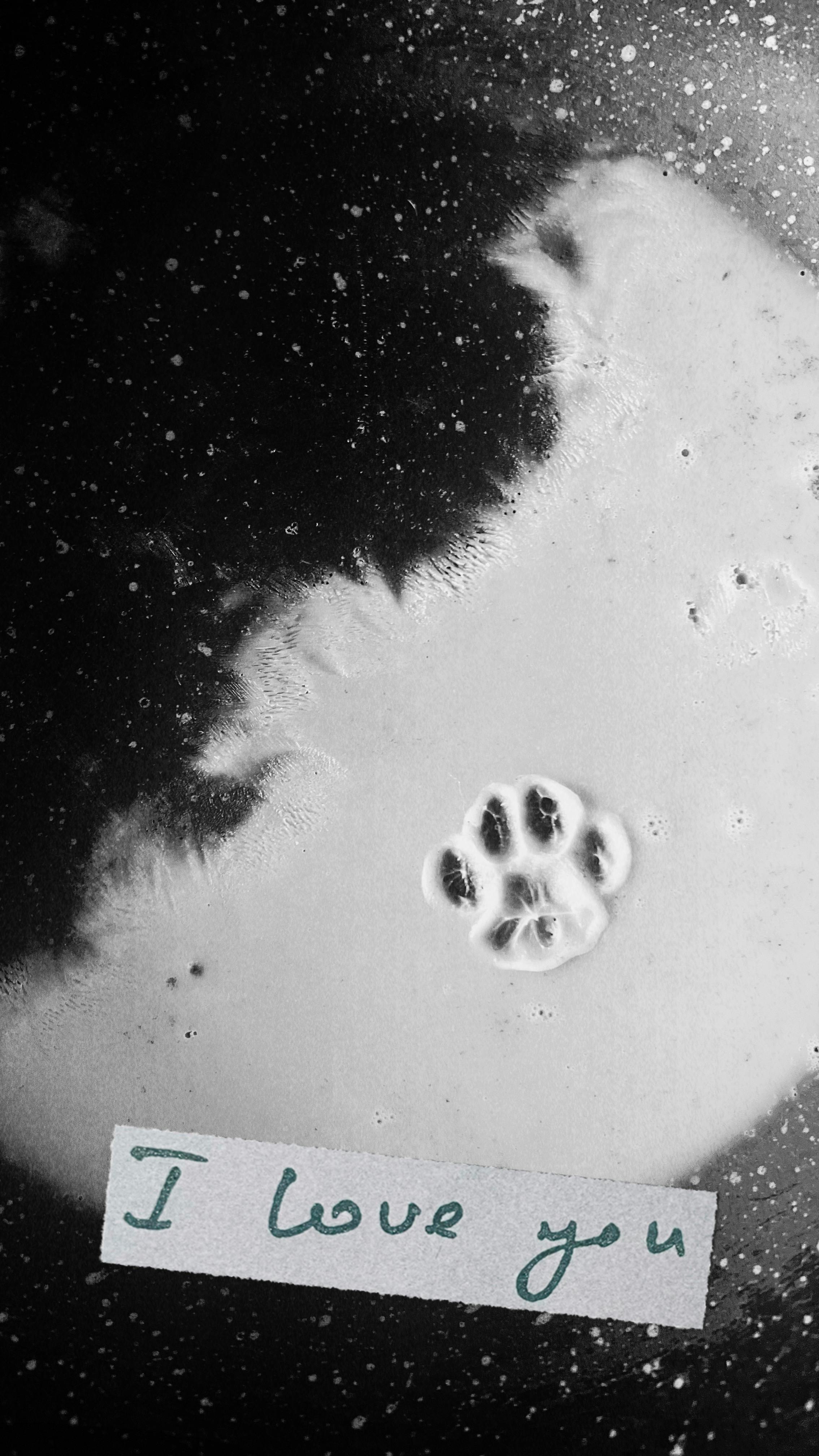 Cat Paw Print With I Love You Text